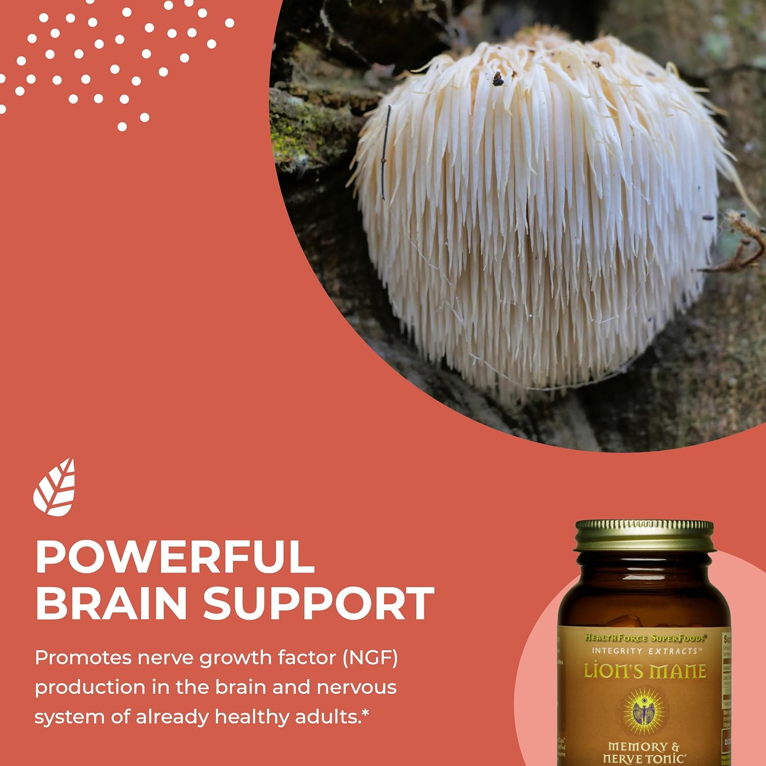 HealthForce SuperFoods Integrity Extracts Lion's Mane Capsules - 90 Vegan Capsules for Cognitive Support and Overall Wellness - Espot.com.au