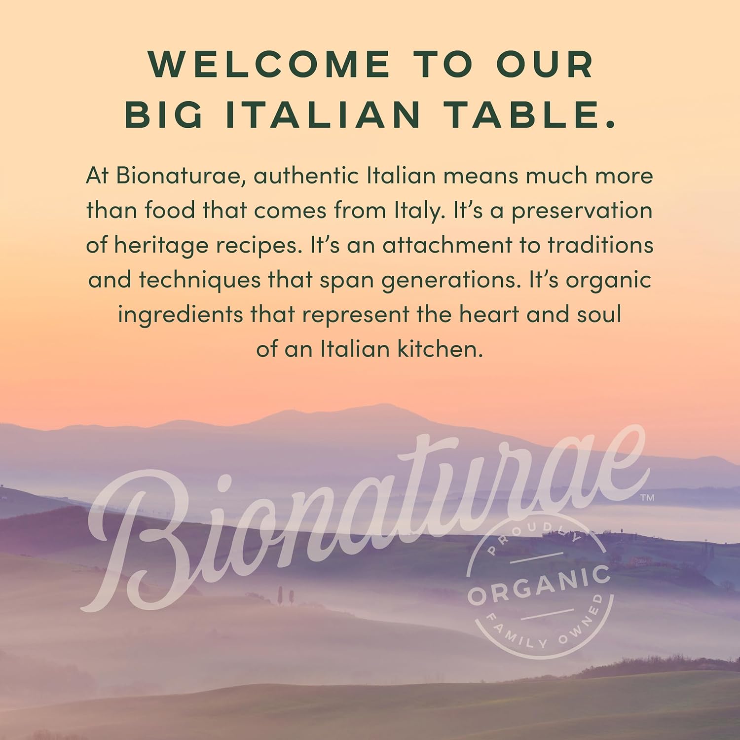 organic-bilberry-fruit-spread---non-gmo-usda-certified-no-sugar-added-no-preservatives---9-oz-2-pack---made-in-italy-6