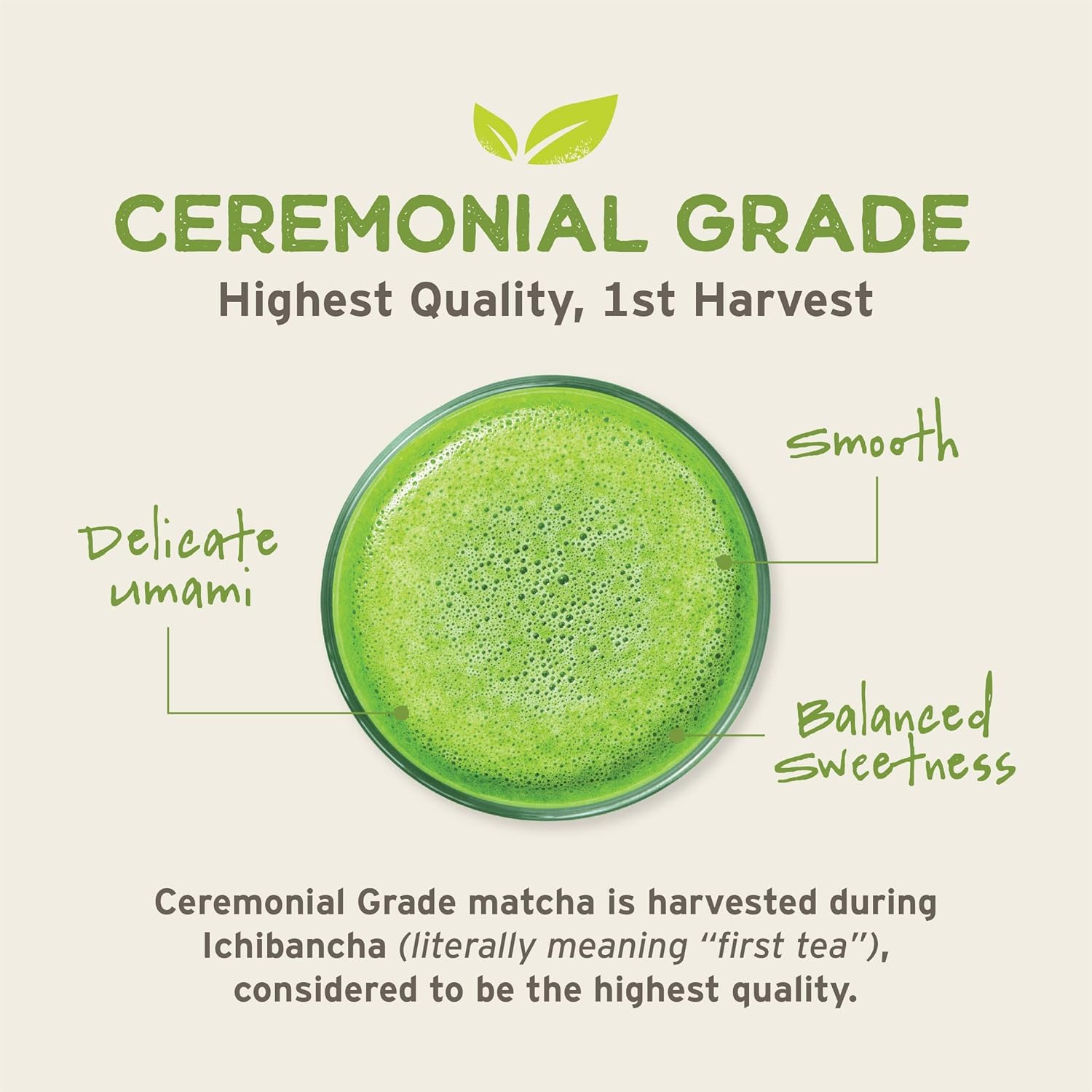 Organic SENCHA Naturals Emperor's Matcha - Premium Grade Ceremonial Matcha Powder for Tea Ceremony - Espot.com.au