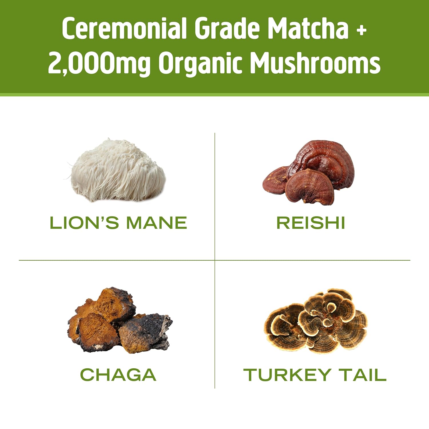 om-mushroom-superfood-matcha-latte-blend-powder---847oz-canister---30-servings---green-tea-with-lions-mane-reishi-chaga-turkey-tail---focus-stress-support-supplement-7