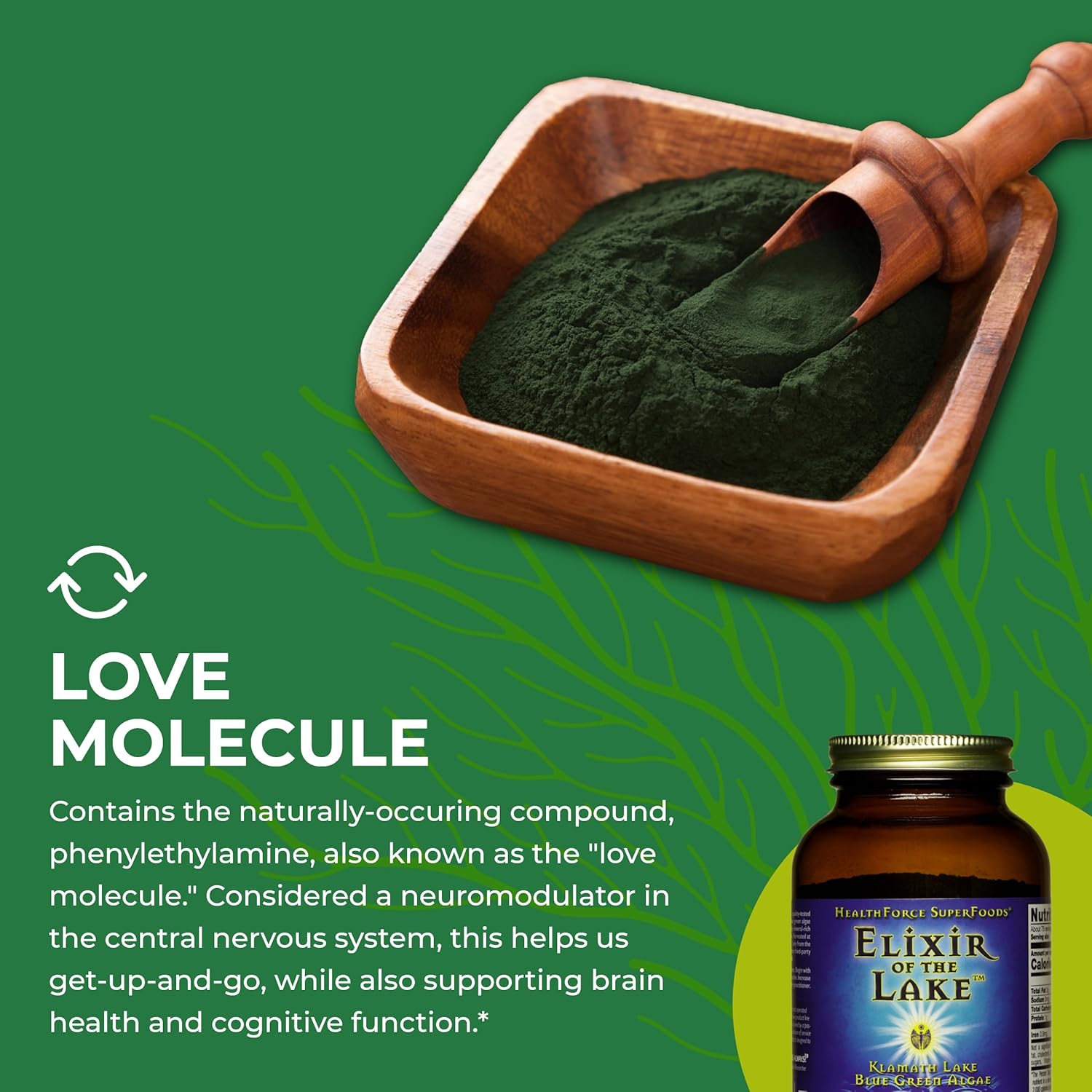 healthforce-superfoods-elixir-of-the-lake-powder---150g-rich-in-superfoods-for-optimal-health-and-wellness-6