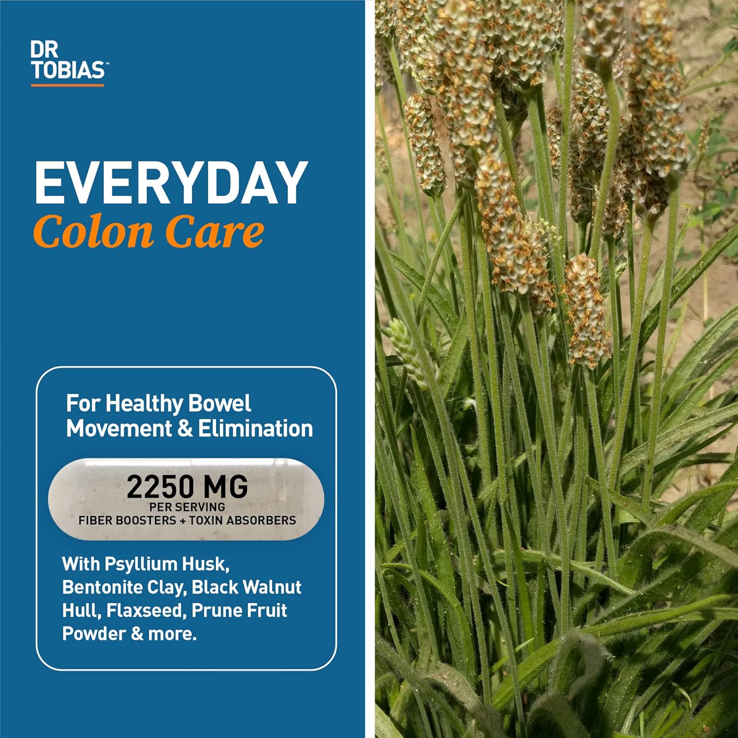 dr-tobias-adult-multivitamin-with-psyllium-for-energy-immunity-bowel-health---42-fruits-vegetables-bentonite-clay-flaxseed---natural-ingredients-3