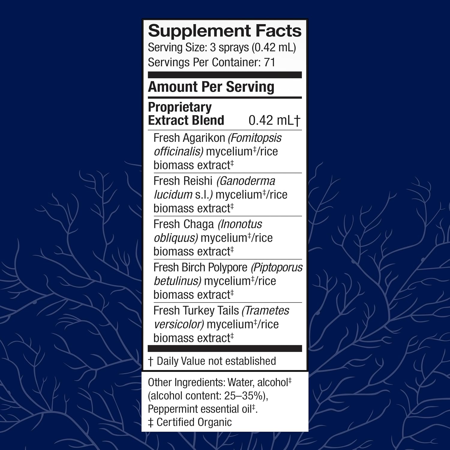 mycoshield-throat-spray---immune-support-with-chaga-reishi-turkey-tail---peppermint-flavored-mushroom-supplement---on-the-go-defense---1-fl-oz-2
