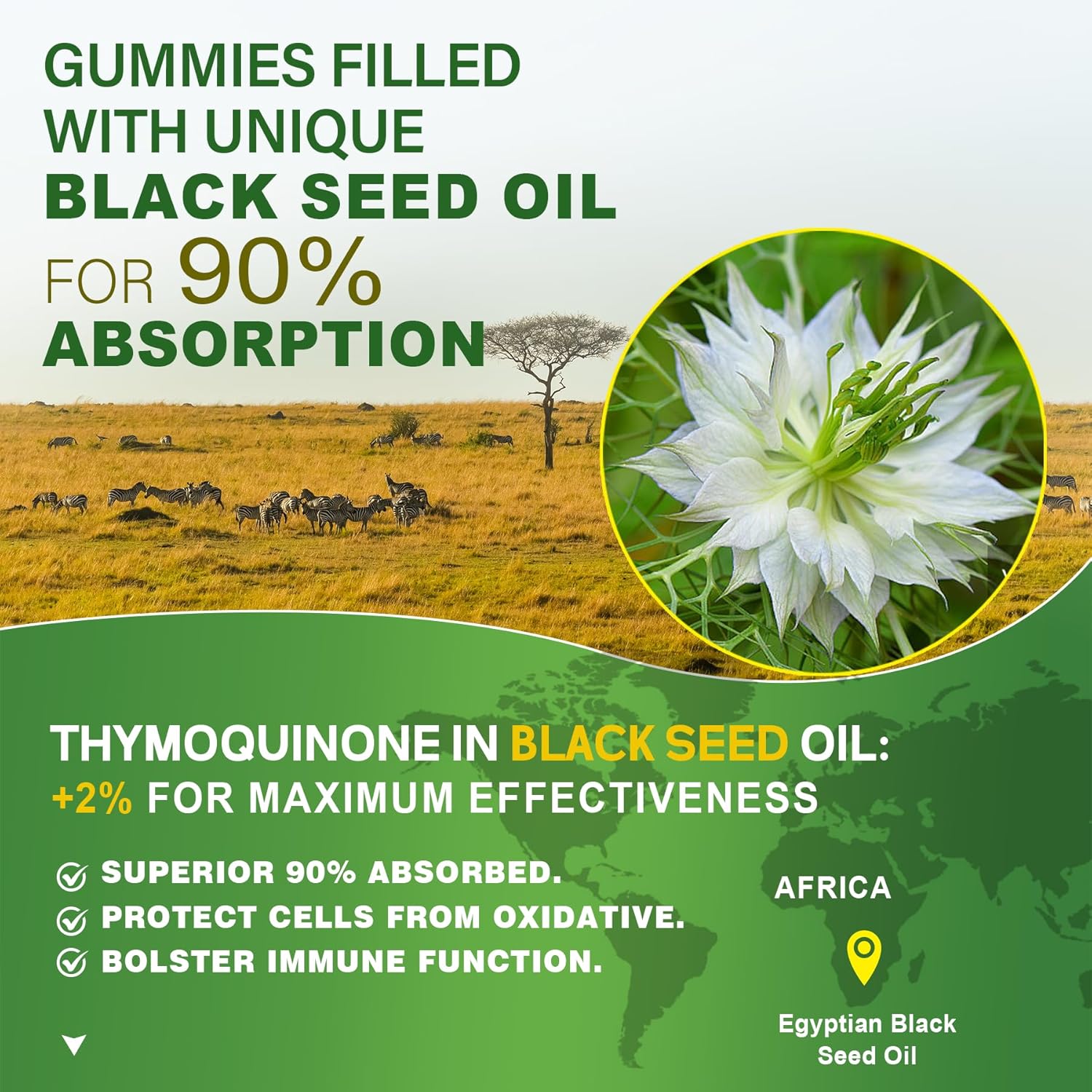 organic-black-seed-oil-gummies-with-chlorophyll-sea-moss-biotin-collagen-vitamins-and-zinc-for-skin-hair-nails-and-overall-health---high-absorption-formula-3