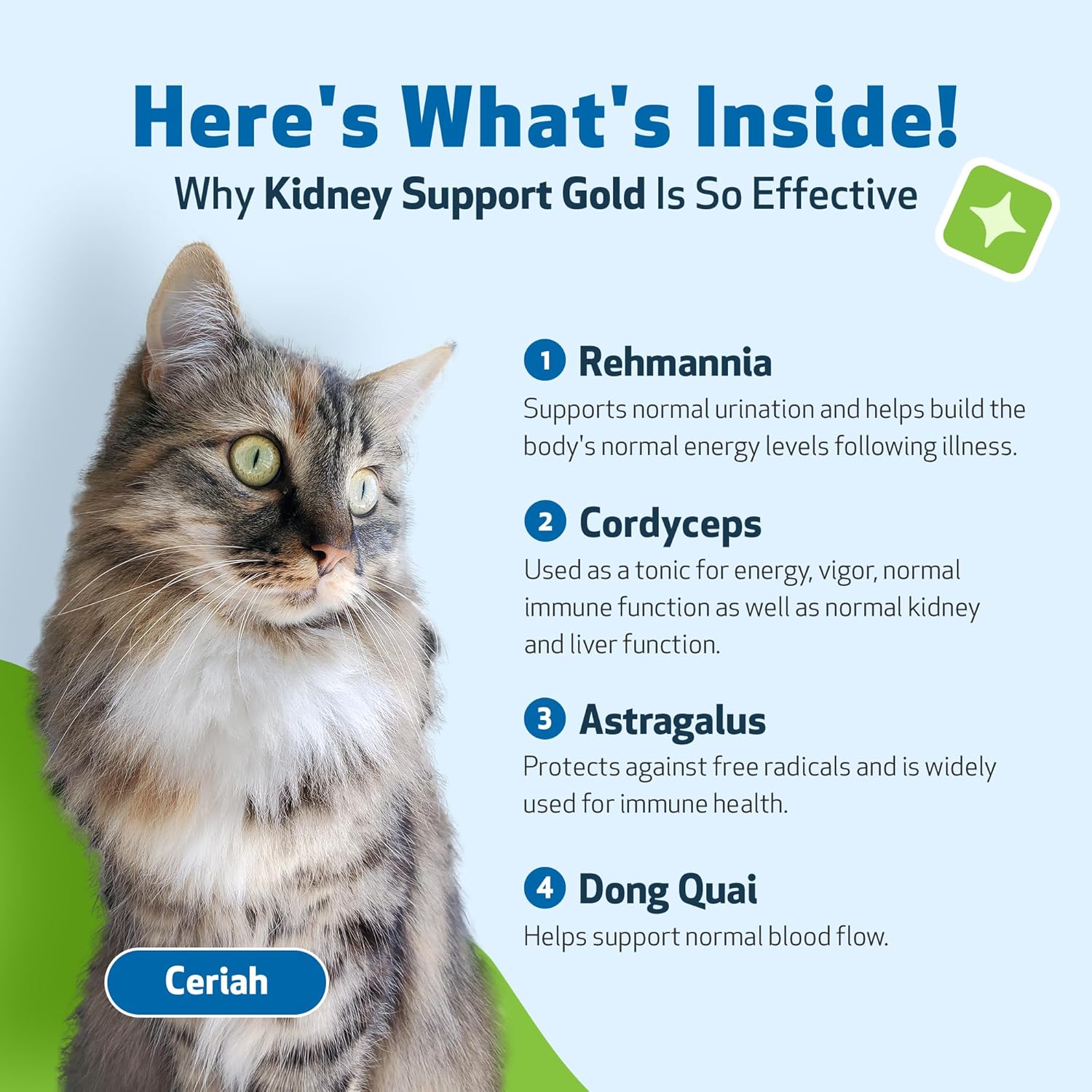 herbal-supplement-for-cats-supports-healthy-kidney-function-energy-levels-vet-formulated-kidney-support-gold-rehmannia-dong-quai-2-oz-bottle-5