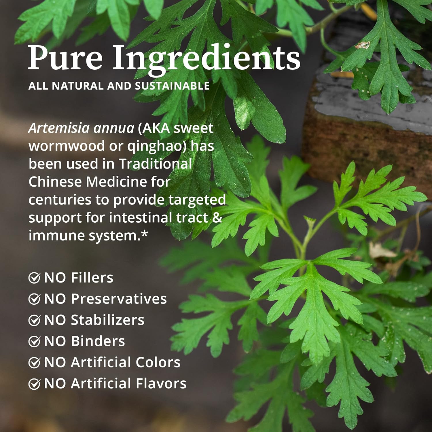 artemis-artemisia-annua-herbal-extract---immune-support-gut-health---2-fl-oz-3