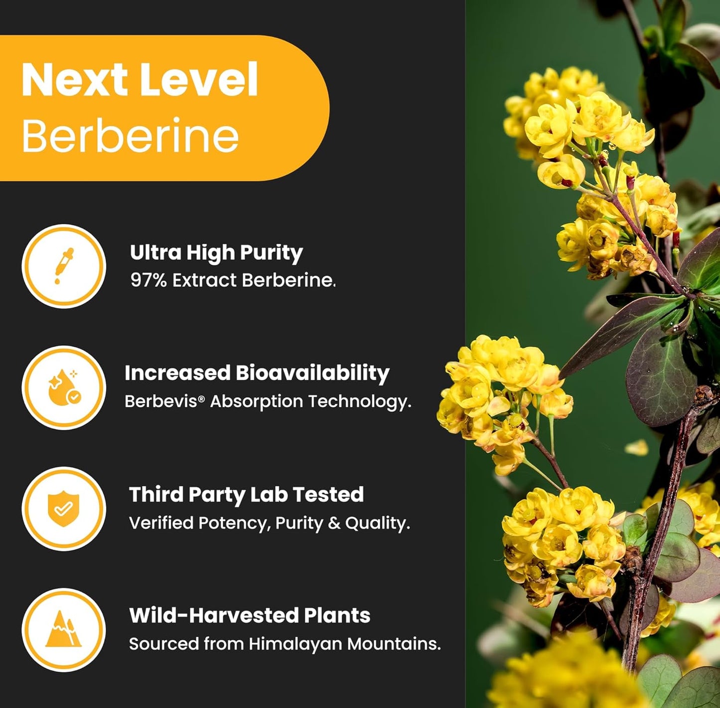 premium-fish-oil-berberine-supplement-capsules-by-nutrachamps---omega-3-fatty-acids-blood-sugar-support-3