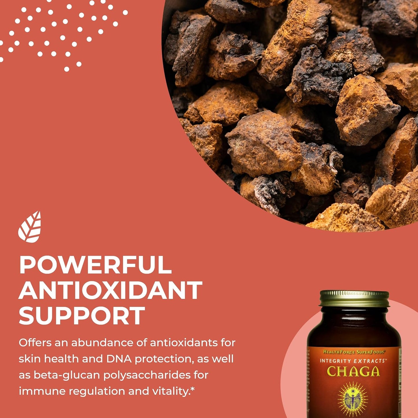 HealthForce SuperFoods Integrity Extracts Chaga Powder - 70g for Immune Support and Antioxidant Boost - Espot.com.au