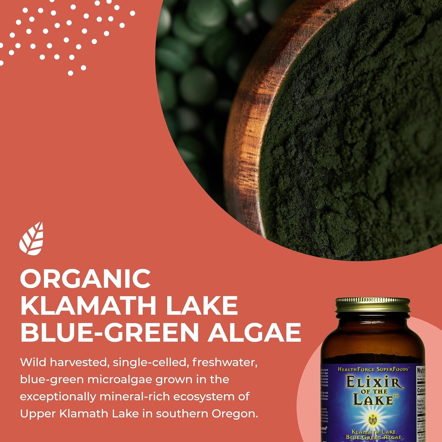 healthforce-superfoods-elixir-of-the-lake-powder---150g-rich-in-superfoods-for-optimal-health-and-wellness-4
