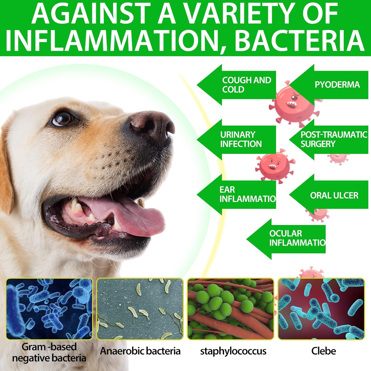 natural-antibiotics-for-dogs---allergy-relief-itch-relief-multivitamin-immune-support---2-pack-7