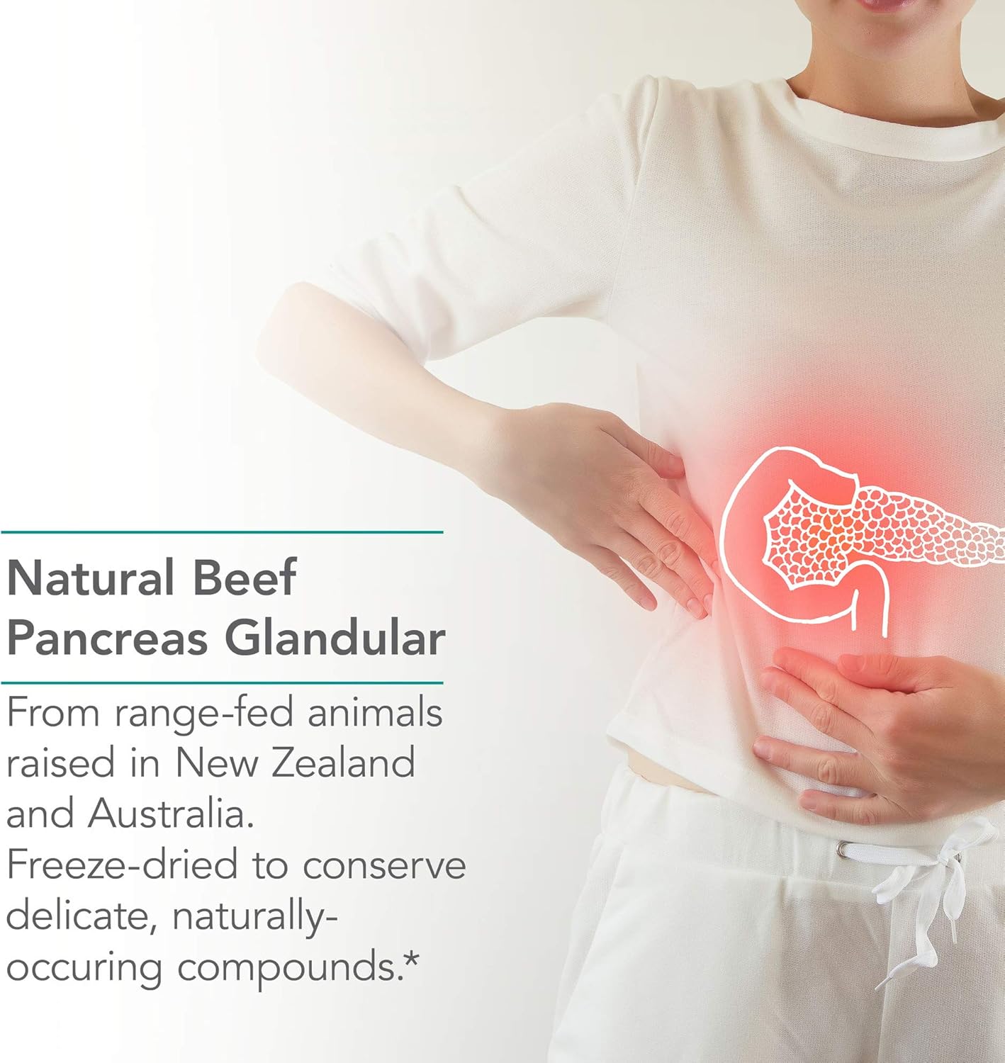 pancreas-pork-425mg-supplement---natural-glandular-enzymes-for-digestive-health---amylase-protease-lipase---hypoallergenic---60-capsules-4