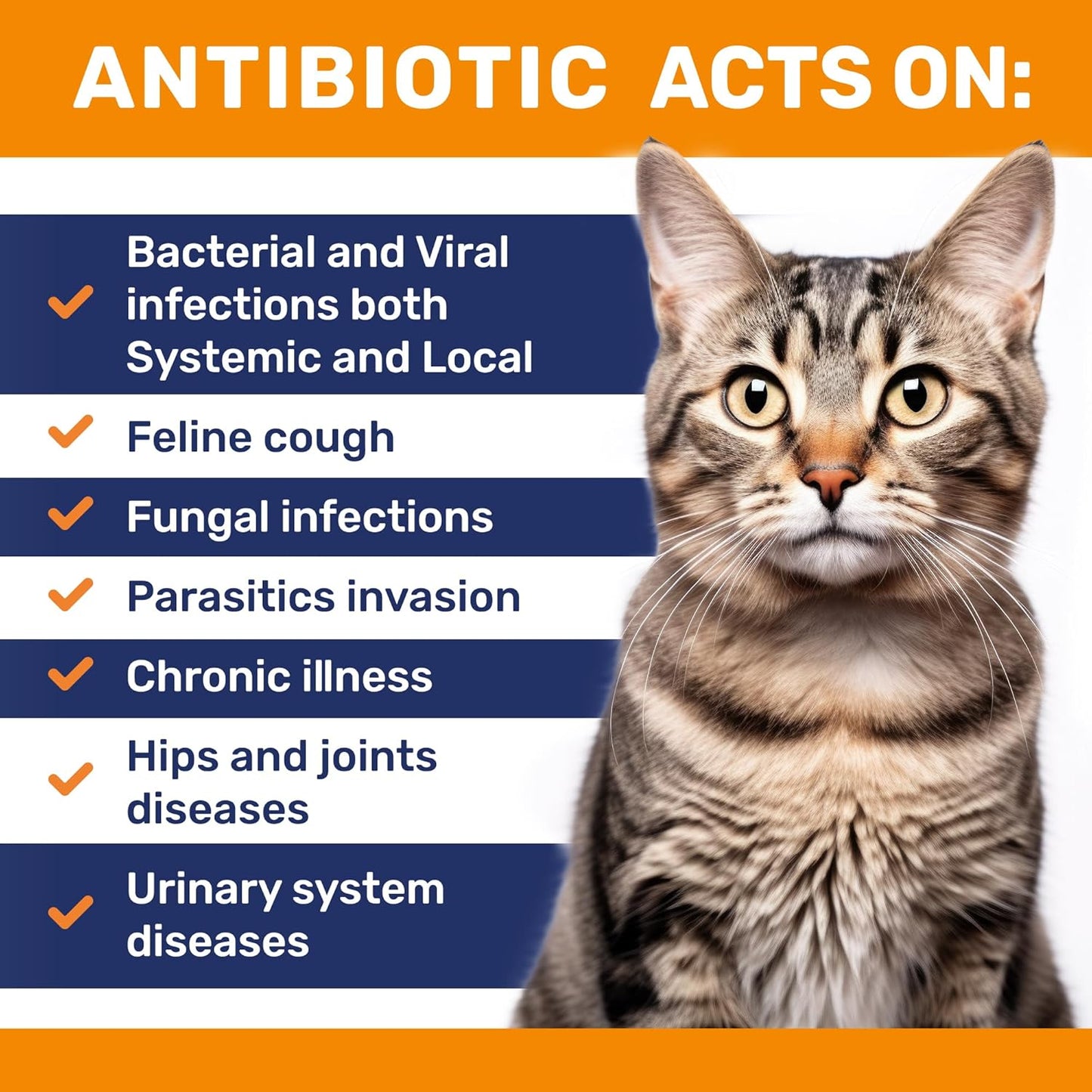 natural-antibiotics-for-cats---herbal-supplement-for-infections-utis-cough-allergies---supports-digestion-hips-joints---chicken-flavor---2-oz-2
