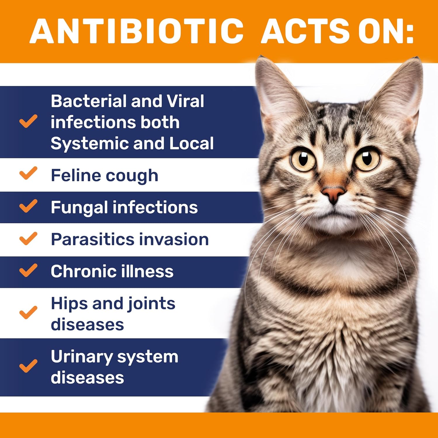 natural-antibiotics-for-cats---herbal-supplement-for-infections-utis-cough-allergies---supports-digestion-hips-joints---chicken-flavor---2-oz-2