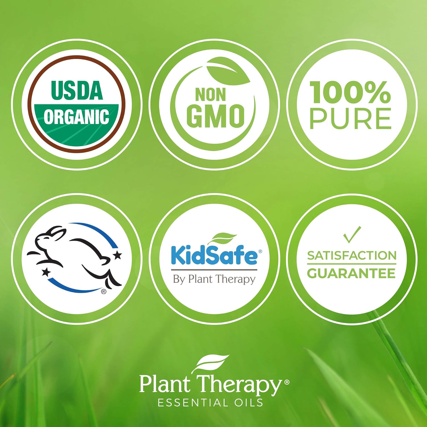 organic-vetiver-essential-oil-5-ml---pure-undiluted-therapeutic-grade---plant-therapy-3