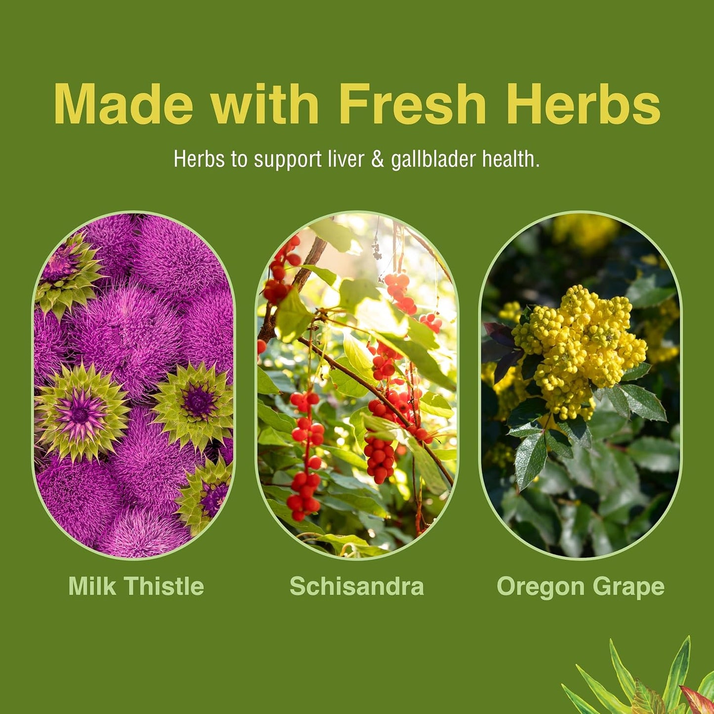 herbs-etc-liver-tonic-supplement---60-tablets-for-liver-health-detox-support-5