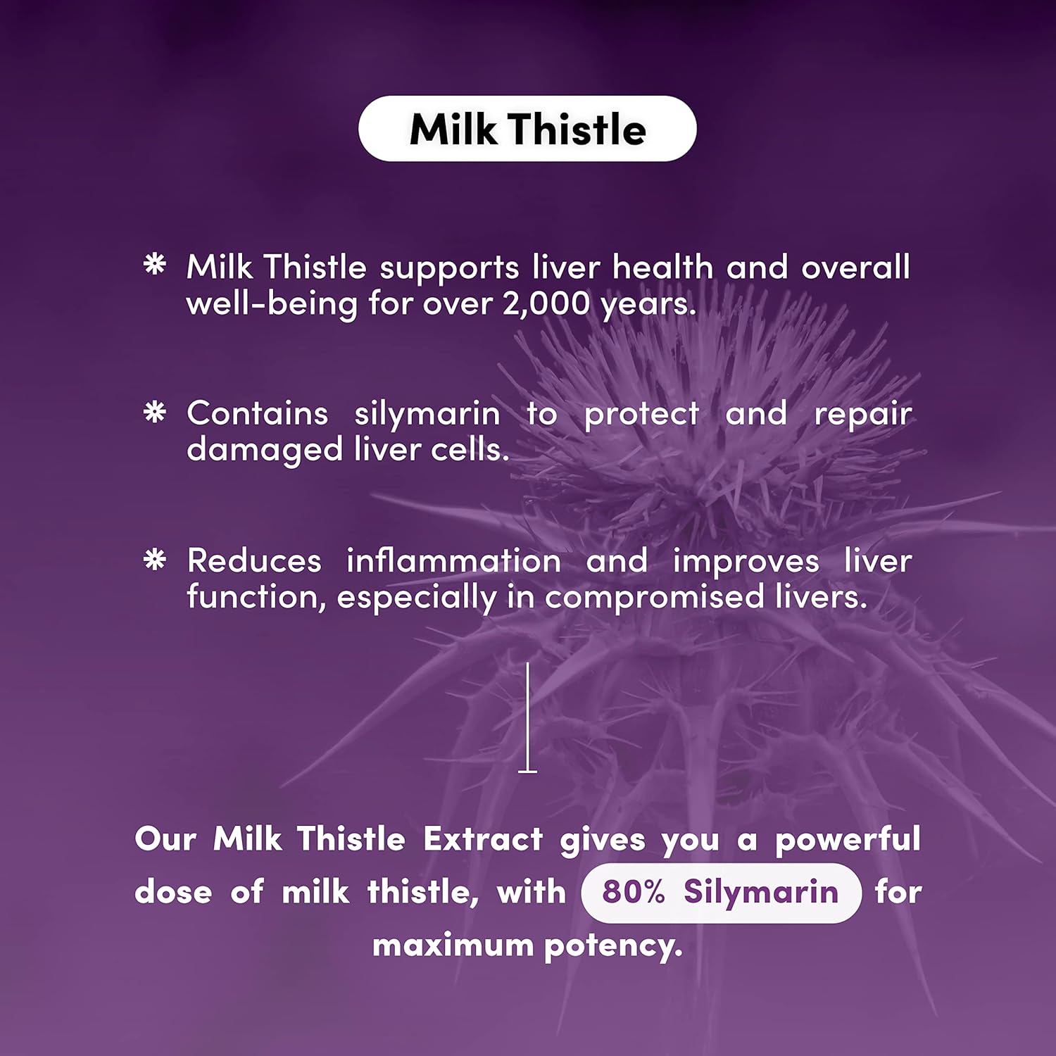 natural-liver-support-supplement---vital-peak-milk-thistle-extract-capsules-for-detox-cleanse---herbal-liver-health-aid-with-silymarin---60-count-5