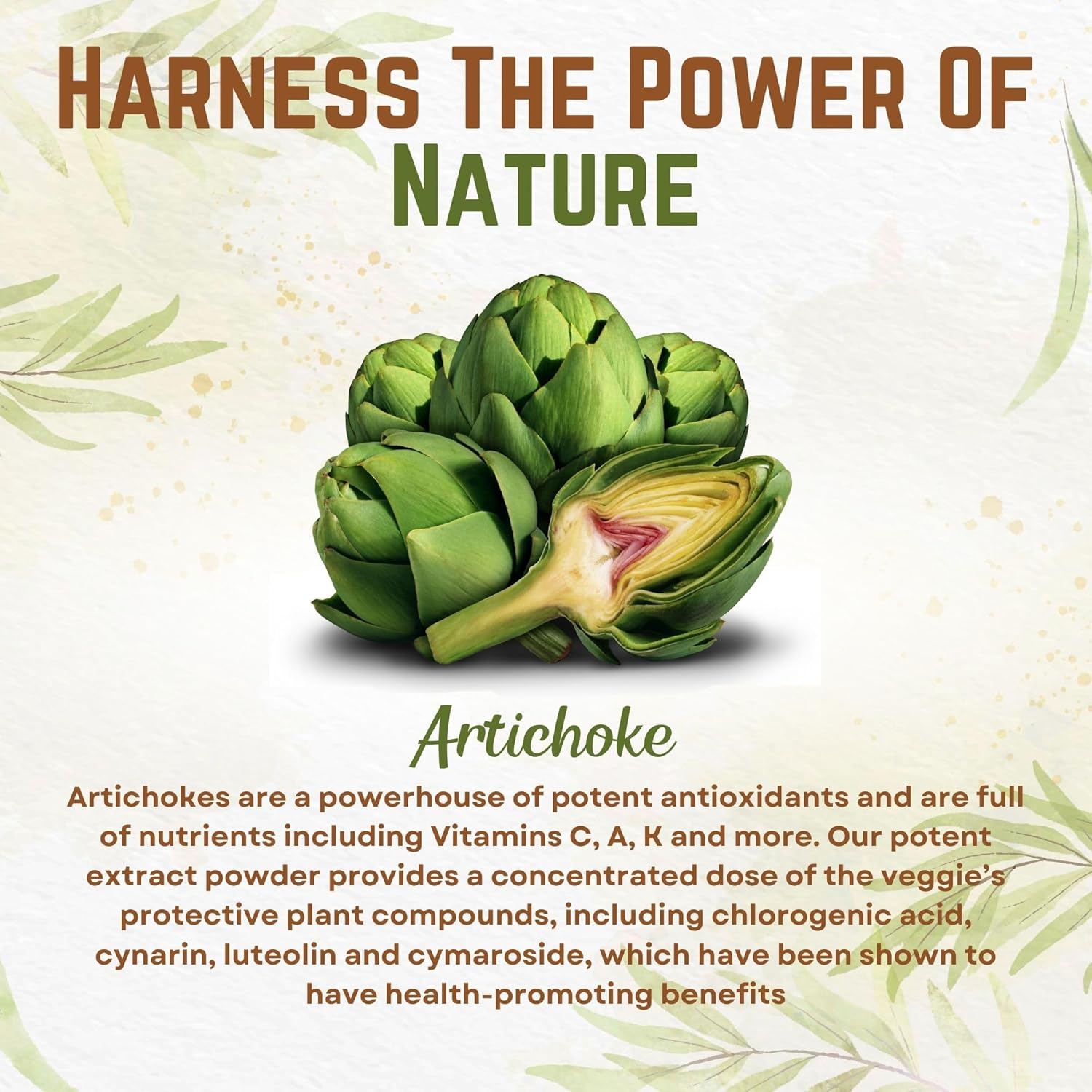 pure-artichoke-extract-powder---potent-5-cynarin---4oz-for-150-servings---natural-artichoke-leaf-stem-supplement-2
