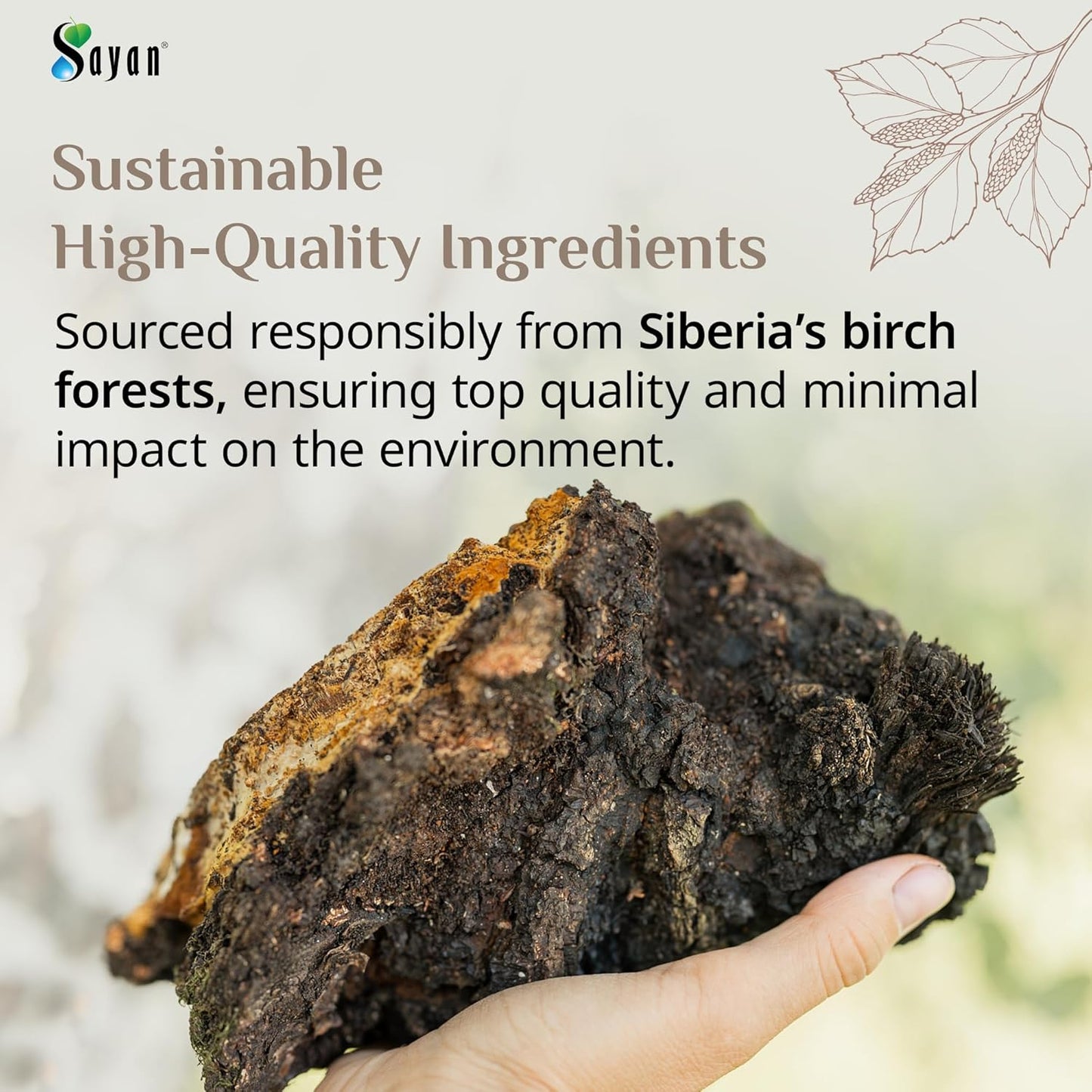 4-oz-sayan-siberian-chaga-mushroom-chunks-with-black-top---premium-antioxidant-tea-for-immune-support-focus-digestive-health---non-gmo---wild-harvested-5
