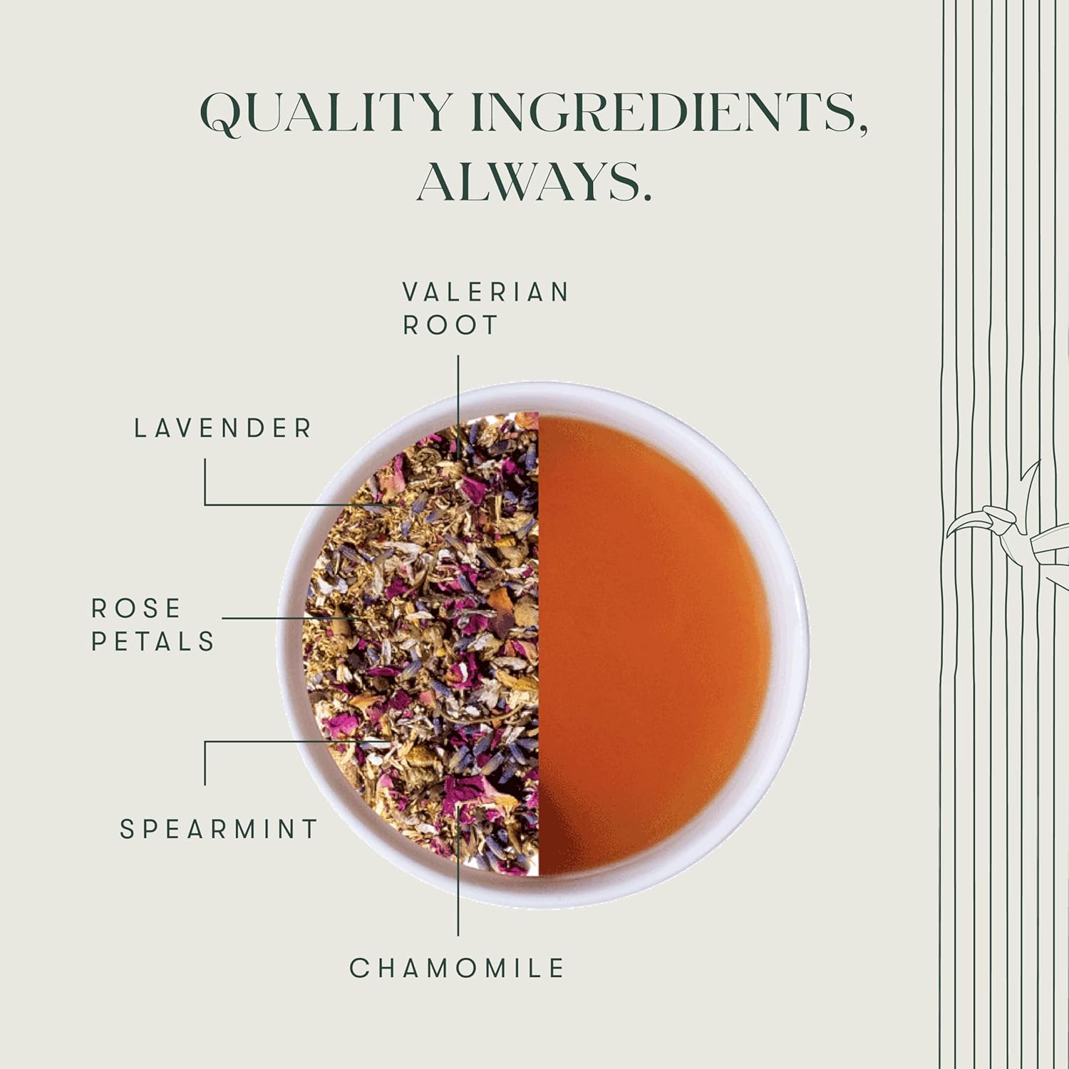 valerian-dream-tea---organic-blend-for-sleep---25-tea-bags-valerian-root-chamomile-lavender---relaxing-herbal-infusion-6