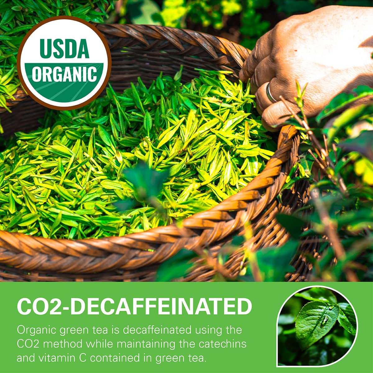 organic-decaf-green-tea-bags---100-count-co2-decaffeinated-super-antioxidant-resealable-kraft-bag-usda-certified-2