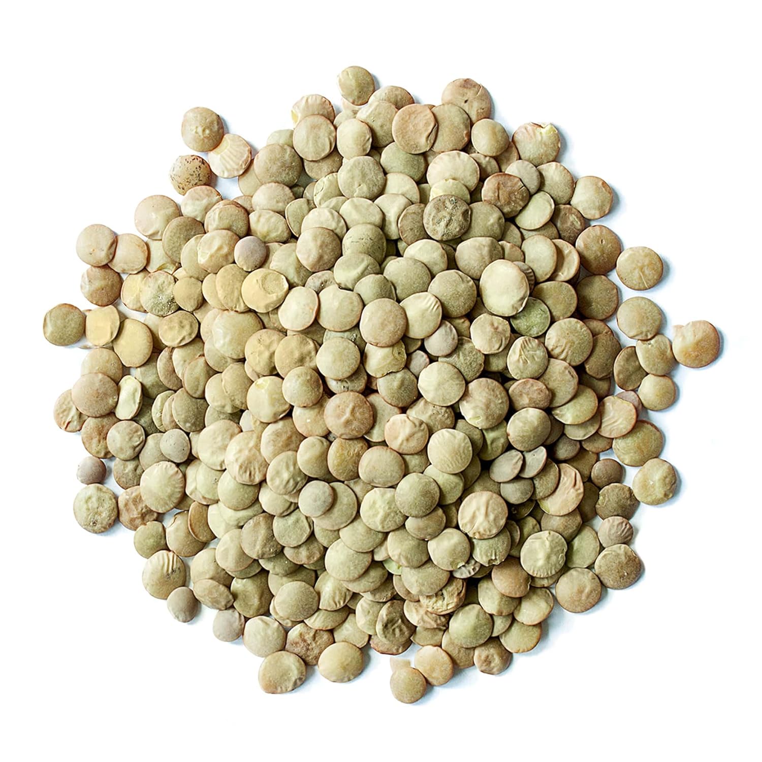 organic-whole-green-lentils-3-lbs---non-gmo-dried-raw-beans-sproutable-vegan-kosher---high-in-folate-fiber-protein---no-soaking---ideal-for-soups-veggie-burgers---bulk-packaging-3