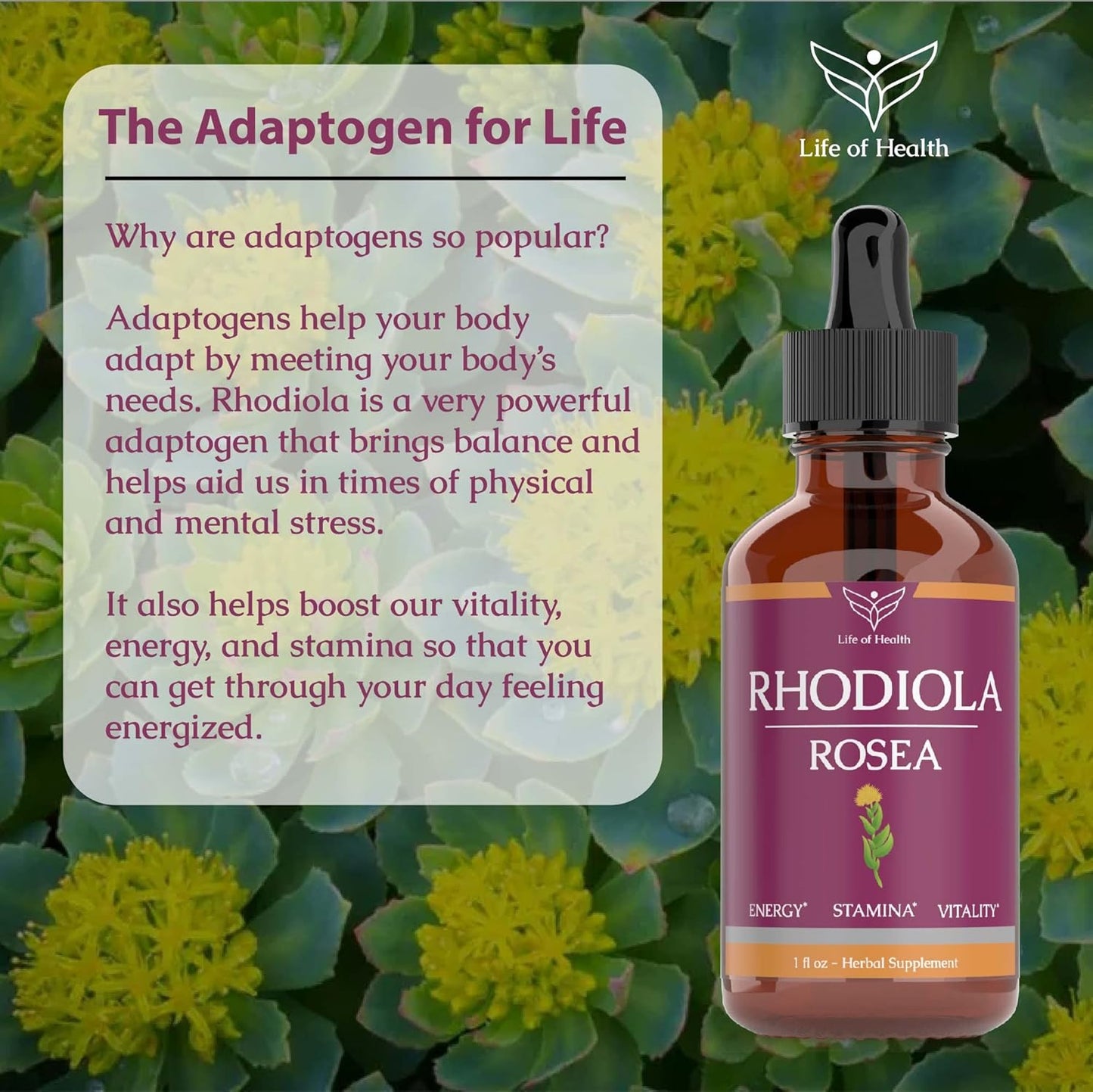 rhodiola-rosea-tincture-for-energy-stamina-cognitive-support---rhodiola-extract-supplement-for-overall-health---1oz-4