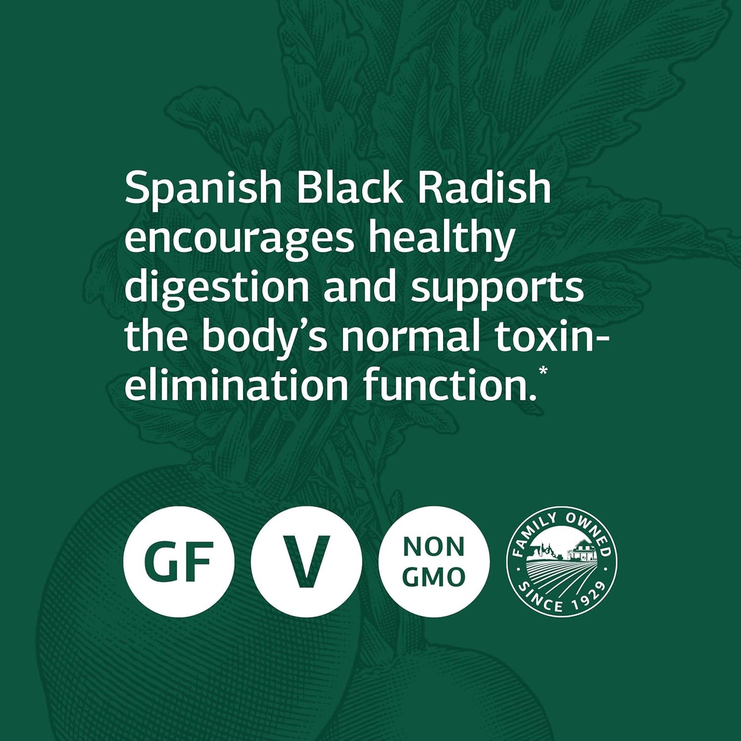 standard-process-spanish-black-radish-tablets---whole-food-detox-liver-support-with-honey-and-vitamin-c---digestive-health-gallbladder-support---vegetarian-gluten-free---90-tablets-4