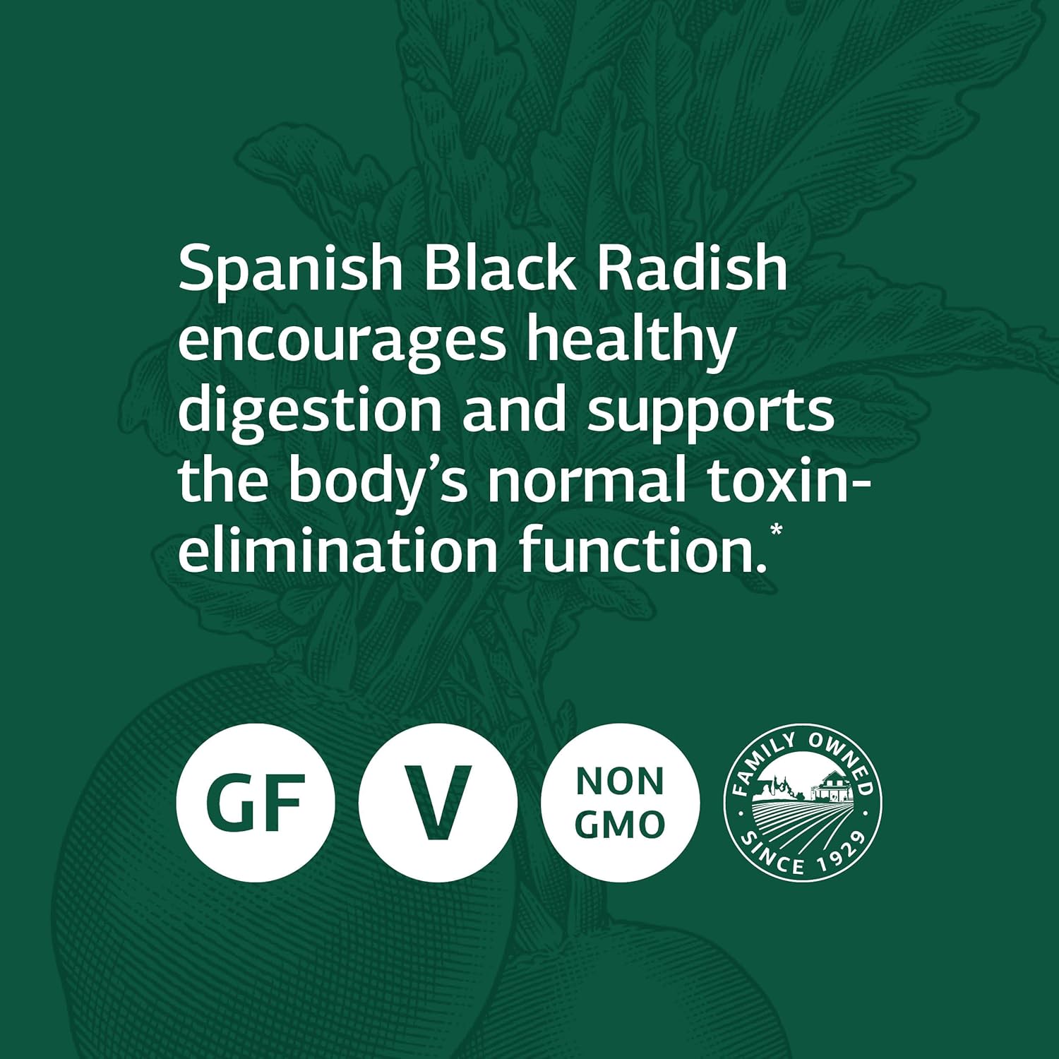 standard-process-spanish-black-radish-tablets---whole-food-detox-liver-support-with-honey-and-vitamin-c---digestive-health-gallbladder-support---vegetarian-gluten-free---90-tablets-4