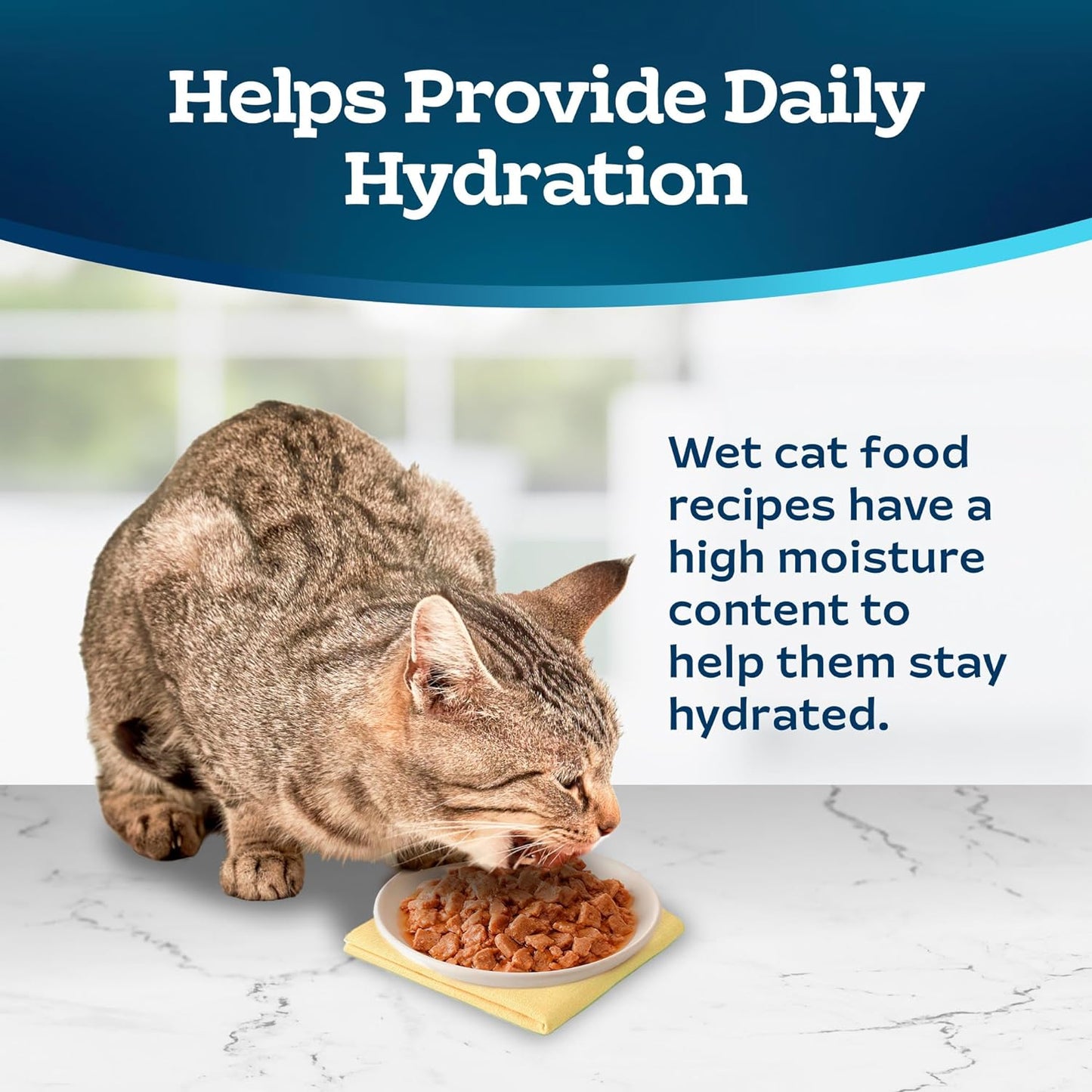 Blue Buffalo Tastefuls Wet Cat Food Variety Pack, Natural Ingredients, Chicken, Turkey, Ocean Fish, Tuna, 5.5-oz Cans (24 Count) - Espot.com.au