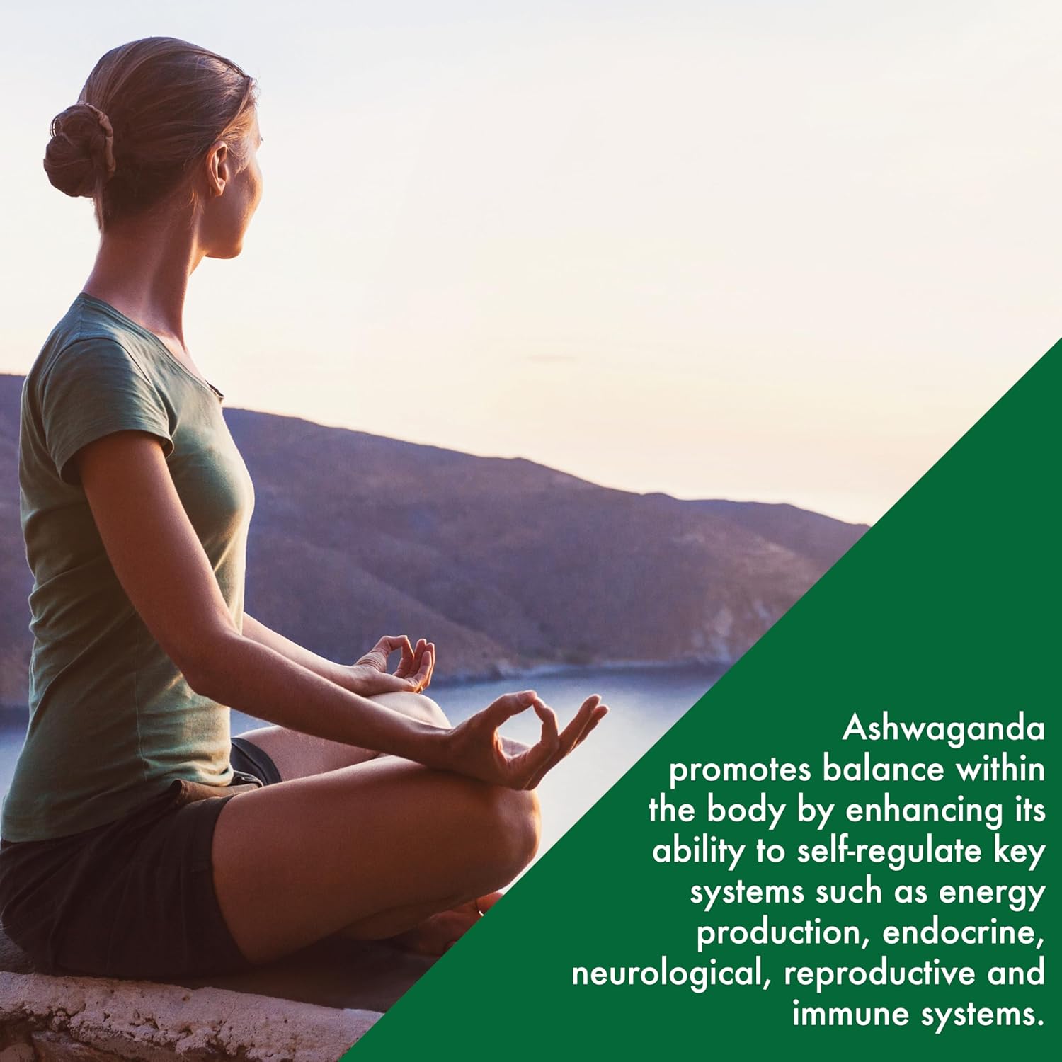organic-ashwagandha-500mg-ksm66-capsules-for-stress-mood-focus-energy---clinically-proven-whitania-somnifera-extract---non-gmo-gluten-soy-free---90-count-6