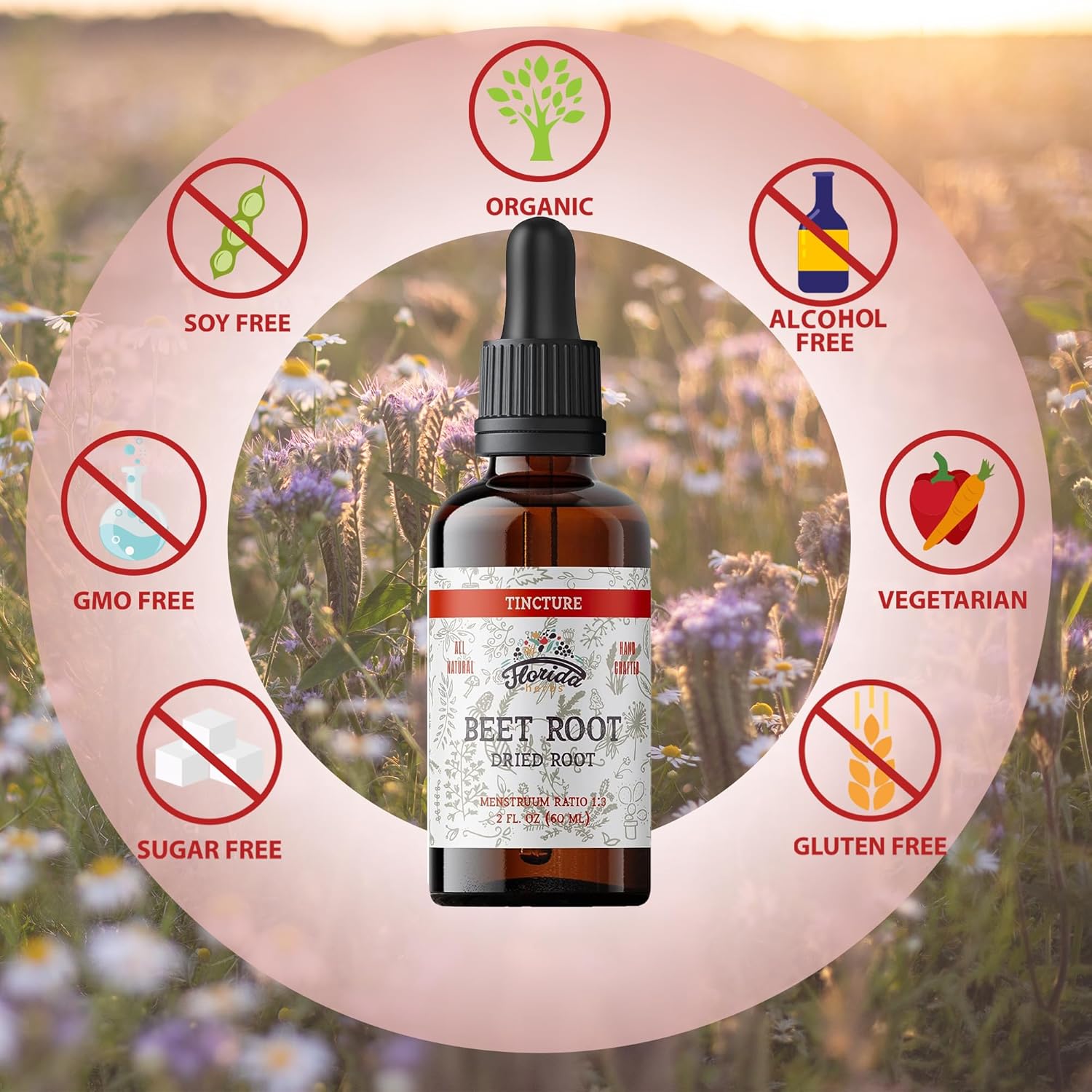 organic-beet-root-liquid-supplement-for-fast-absorption---gluten-free-tincture-extract---2-fl-oz---florida-herbs-4