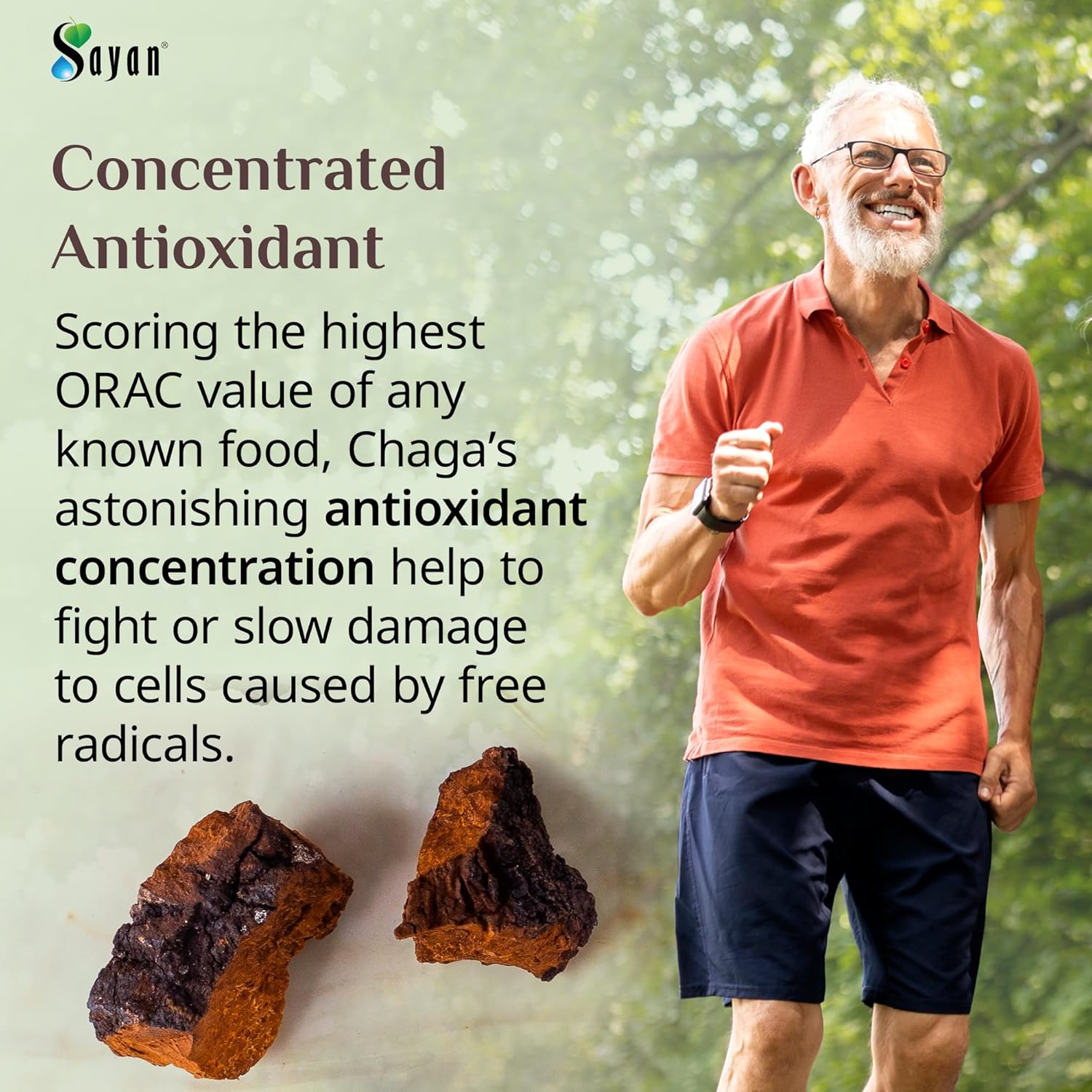 4-oz-sayan-siberian-chaga-mushroom-chunks-with-black-top---premium-antioxidant-tea-for-immune-support-focus-digestive-health---non-gmo---wild-harvested-6