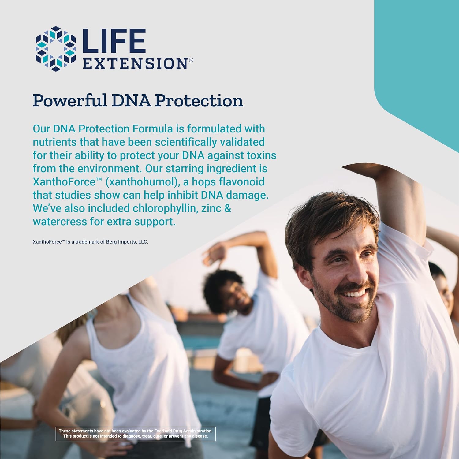 dna-protection-formula-with-watercress-chlorophyllin-extract---supports-liver-health-detox-and-dna-protection---gluten-free-non-gmo-vegetarian---30-capsules-5