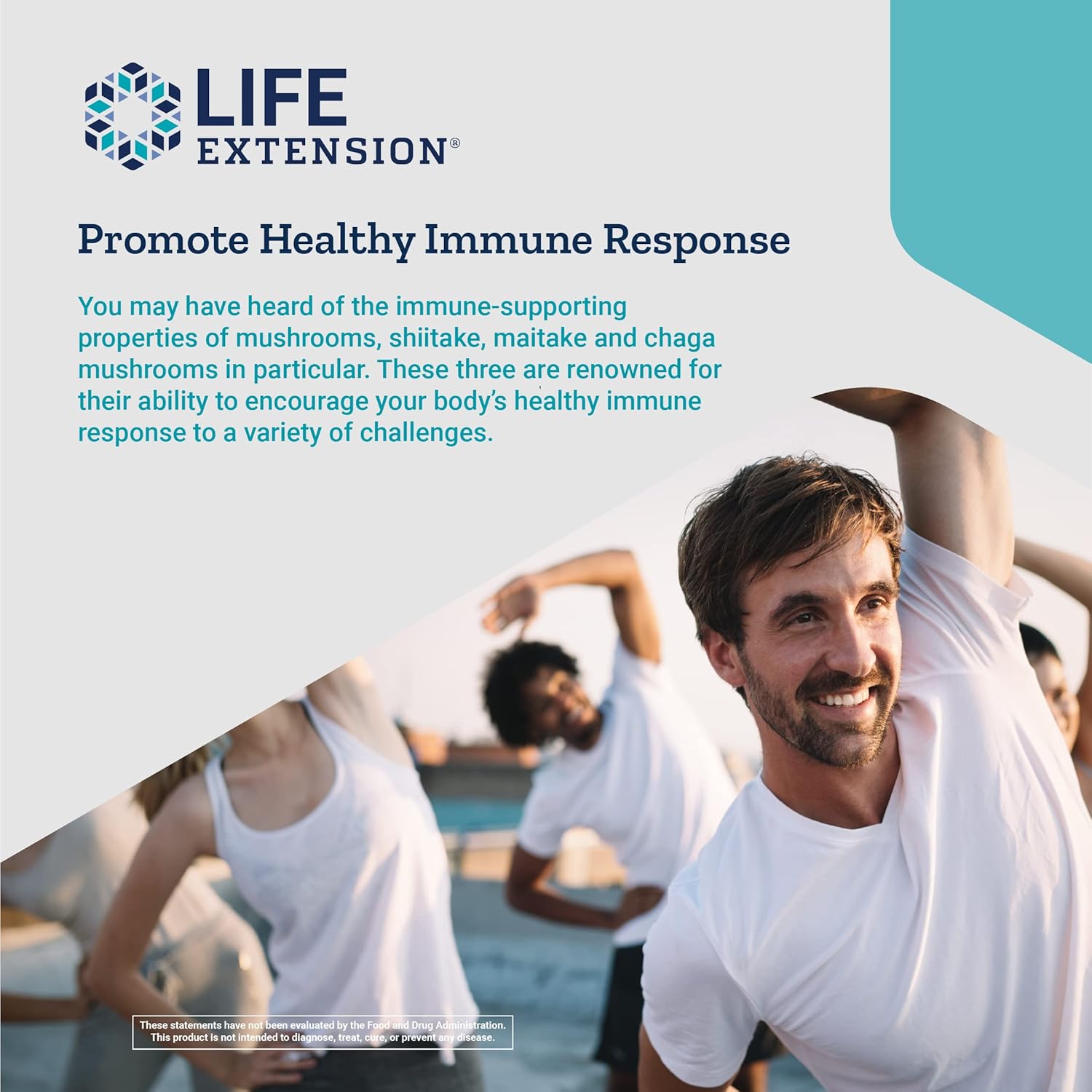 mushroom-immune-support-supplement-with-beta-glucans-for-longevity-7
