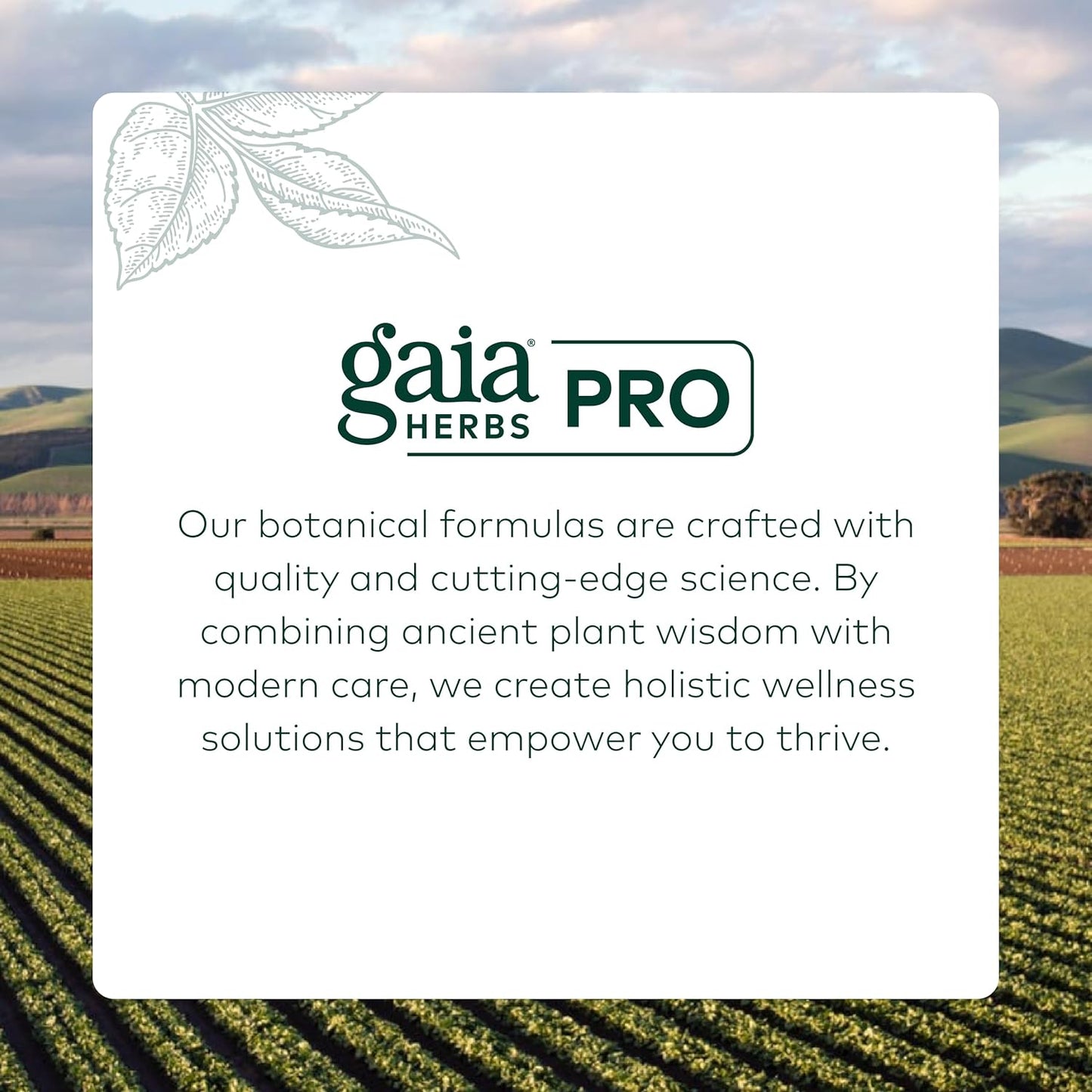 gaia-herbs-gaia-pro-microbiome-cleanse---natural-supplement-for-gut-health-and-digestive-balance-7