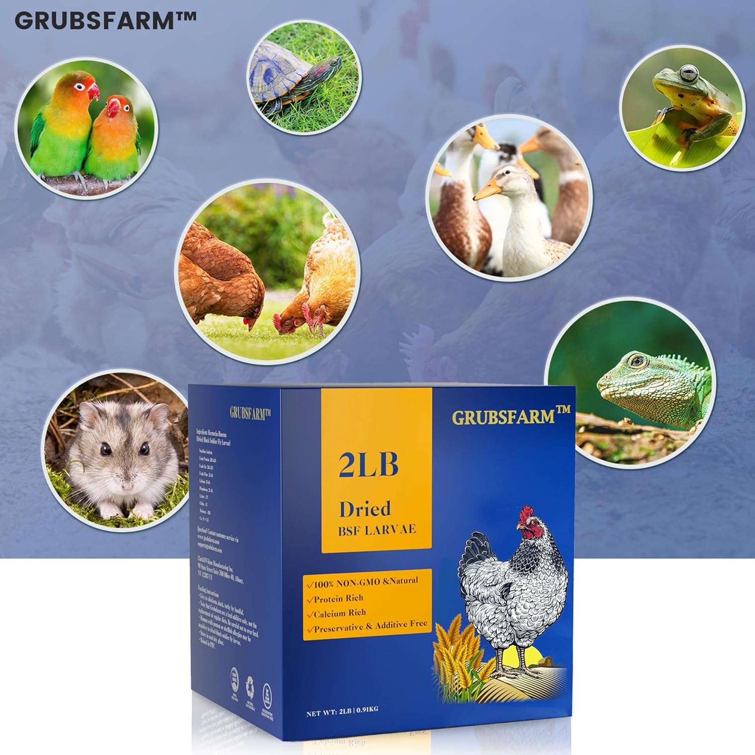 premium-bsf-larvae-chicken-treats-2lbs---non-gmo-high-calcium---molting-laying-supplement---for-layer-hens-ducks-wild-birds---superior-to-dried-mealworms-6