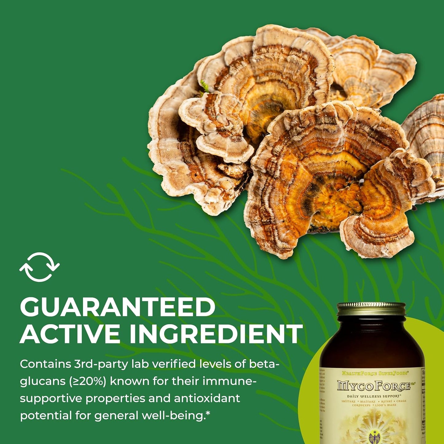 HealthForce SuperFoods MycoForce Powder - 150g - Organic Mushroom Supplement - Espot.com.au