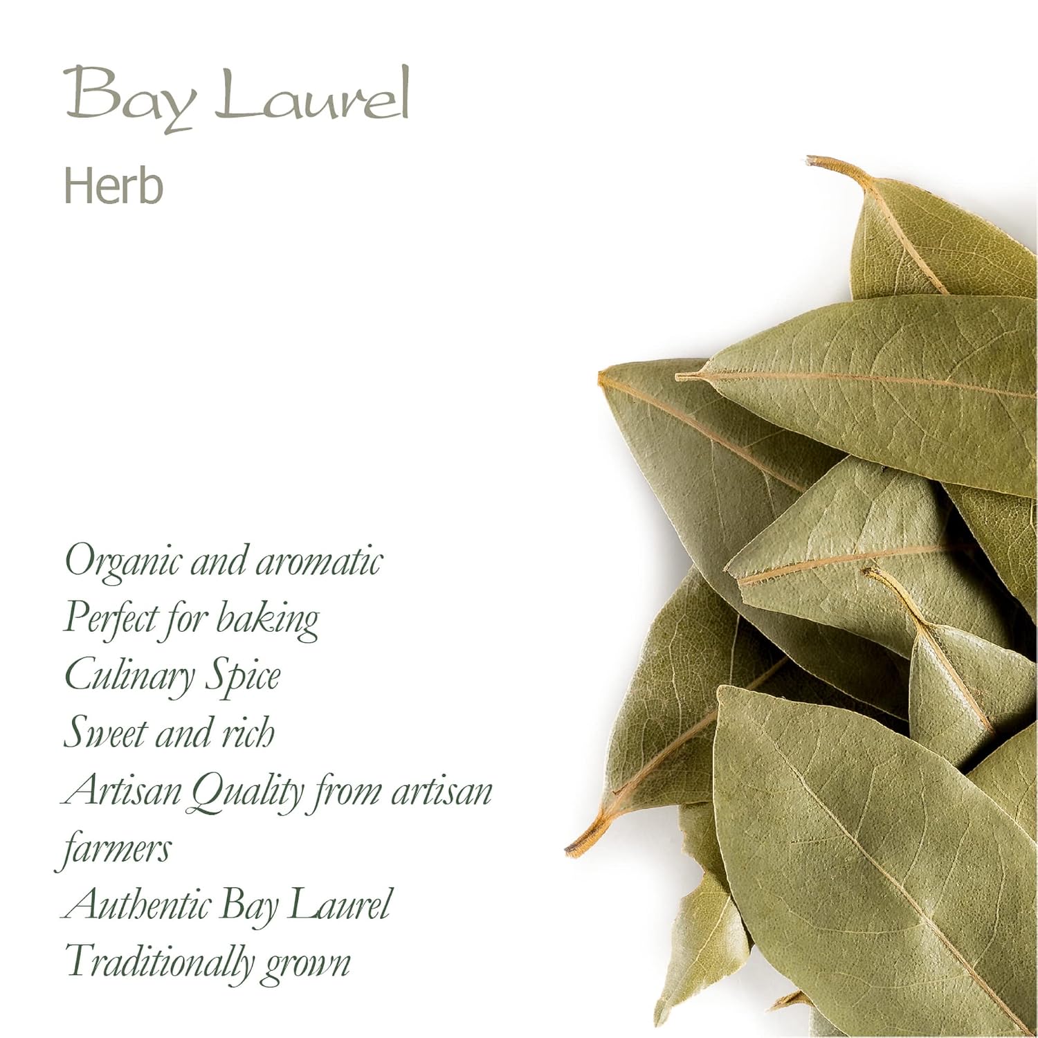 organic-bay-leaf-laurel-herb---whole-culinary-quality-leaves-from-valley-of-tea---dry-and-organic-bay-leaves-for-cooking-5