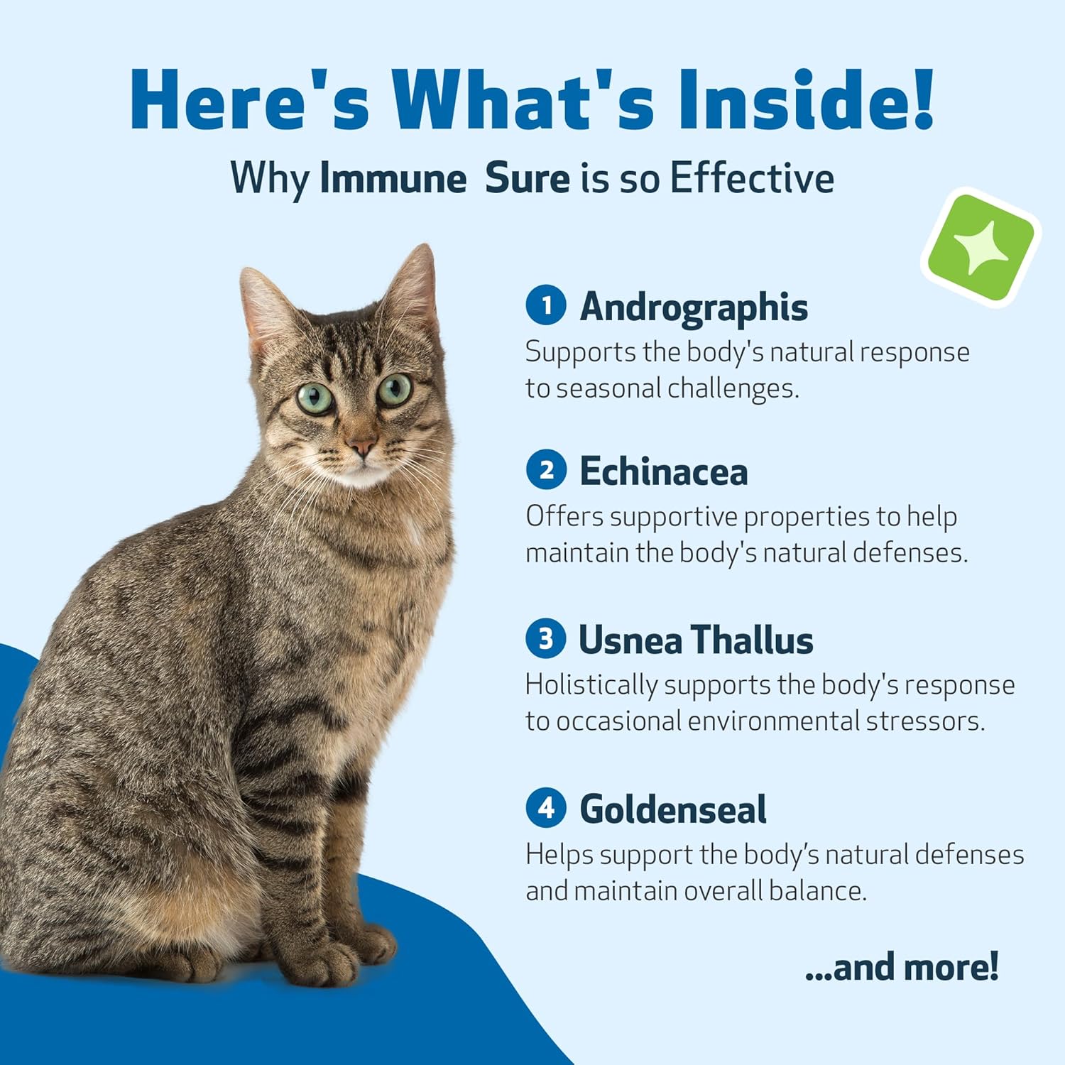 herbal-supplement-for-cats---boosts-immune-defenses-balances-gut-flora-andrographis-echinacea-vit-c-zinc---veterinarian-formulated-pet-wellbeing-4-oz-6
