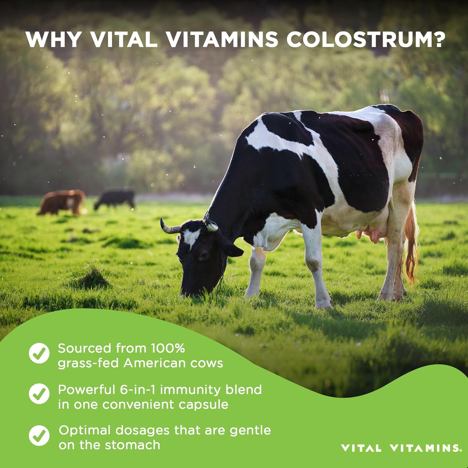 colostrum-supplement-complex-with-vitamin-c-zinc-selenium---10-igg-immunoglobulins---grass-fed-american-cows---60-capsules-3