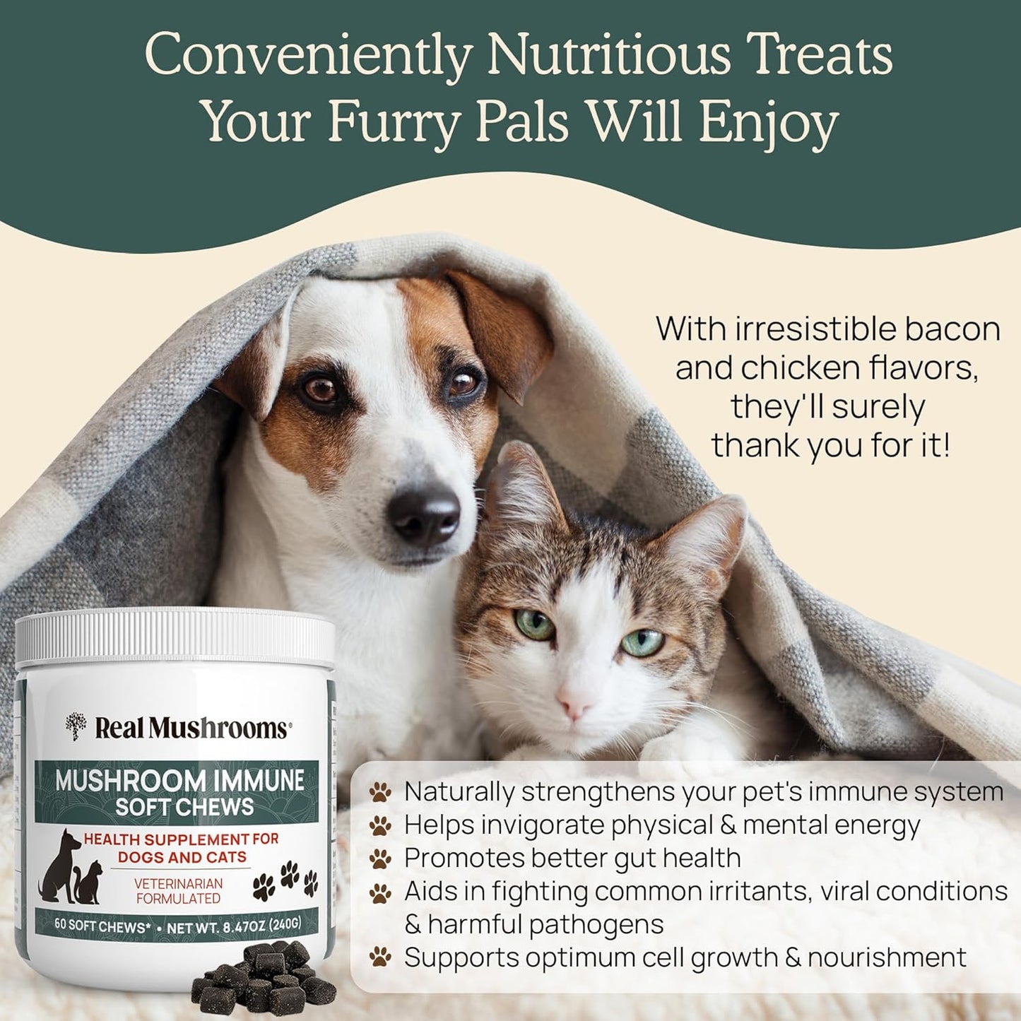 real-mushrooms-immune-support-pet-chews---60-ct-dog-treats-with-ashwagandha-astragalus-blueberry-olive-leaf-acerola---gut-health-for-cats-dogs-6