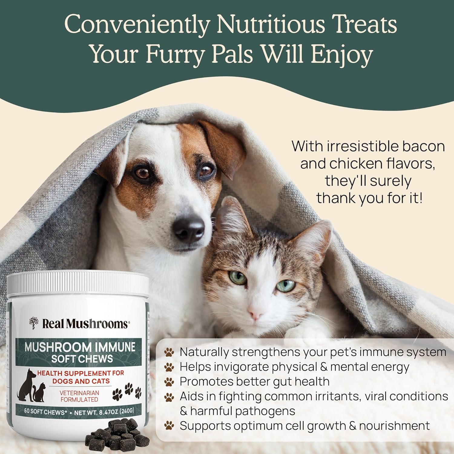real-mushrooms-immune-support-pet-chews---60-ct-dog-treats-with-ashwagandha-astragalus-blueberry-olive-leaf-acerola---gut-health-for-cats-dogs-6