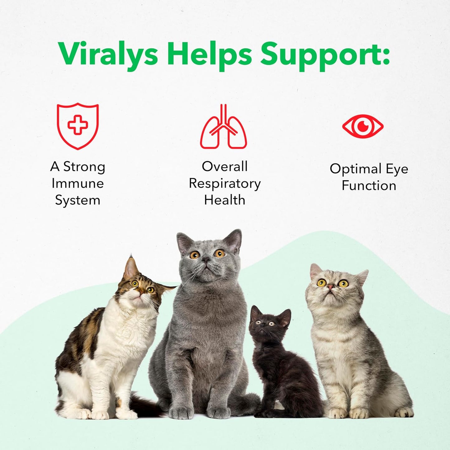 vetoquinol-viralys-gel-l-lysine-supplement-for-cats---5oz-maple-flavored-gel---supports-immune-health-allergies-runny-nose-watery-eyes---cats-kittens-of-all-ages-8