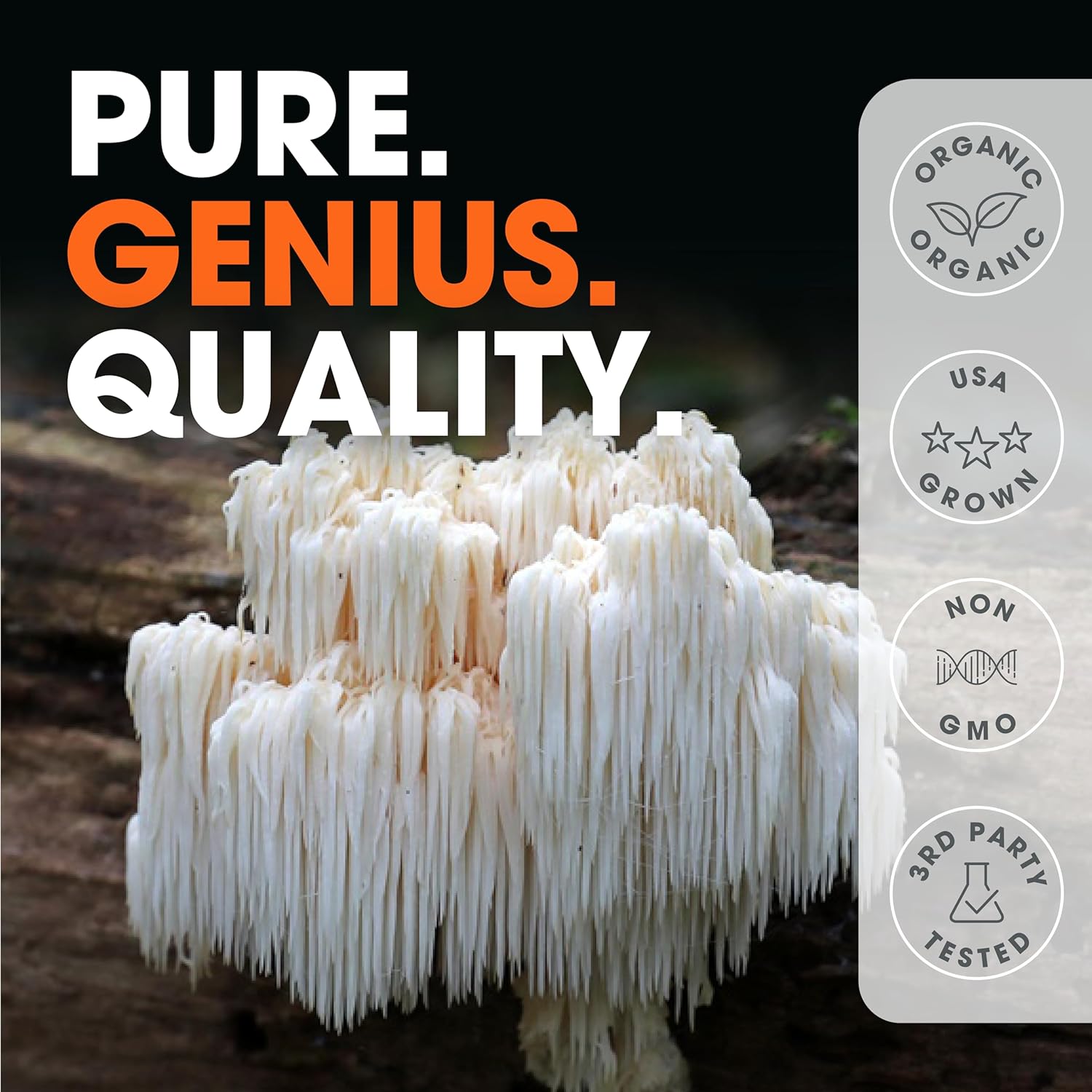 organic-genius-lions-mane-cognition-vitamins-supplement-capsules---120-veggie-pills-1200mg-per-serving---nootropic-supplement-by-the-genius-brand-5