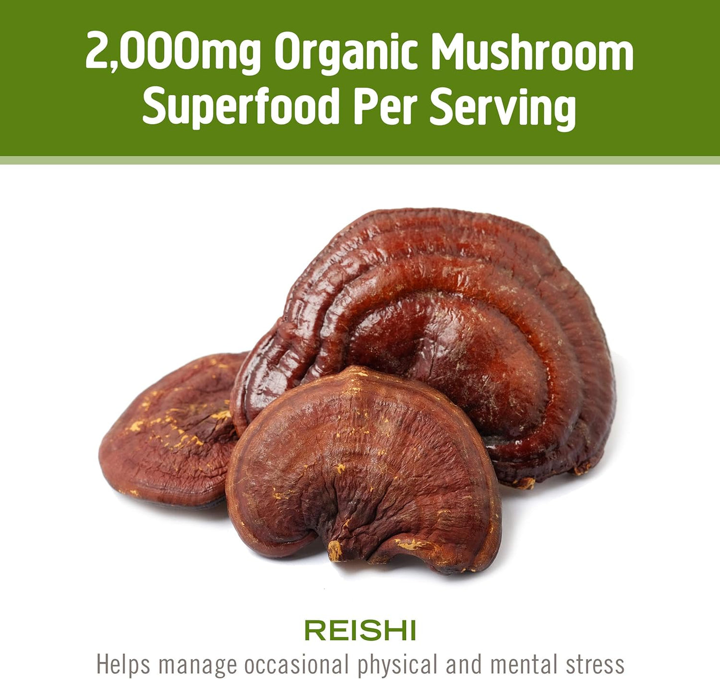 organic-reishi-mushroom-powder---35oz-50-servings---adaptogen-for-stress-immune-support---superfood-supplement-from-om-mushroom-6