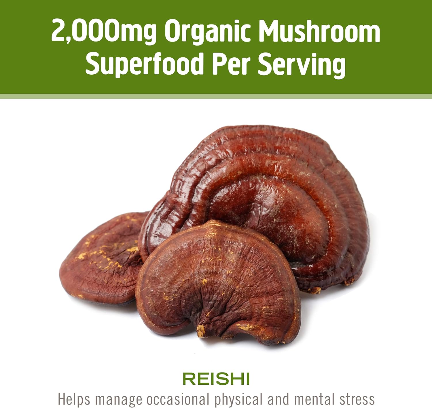 organic-reishi-mushroom-powder---35oz-50-servings---adaptogen-for-stress-immune-support---superfood-supplement-from-om-mushroom-6