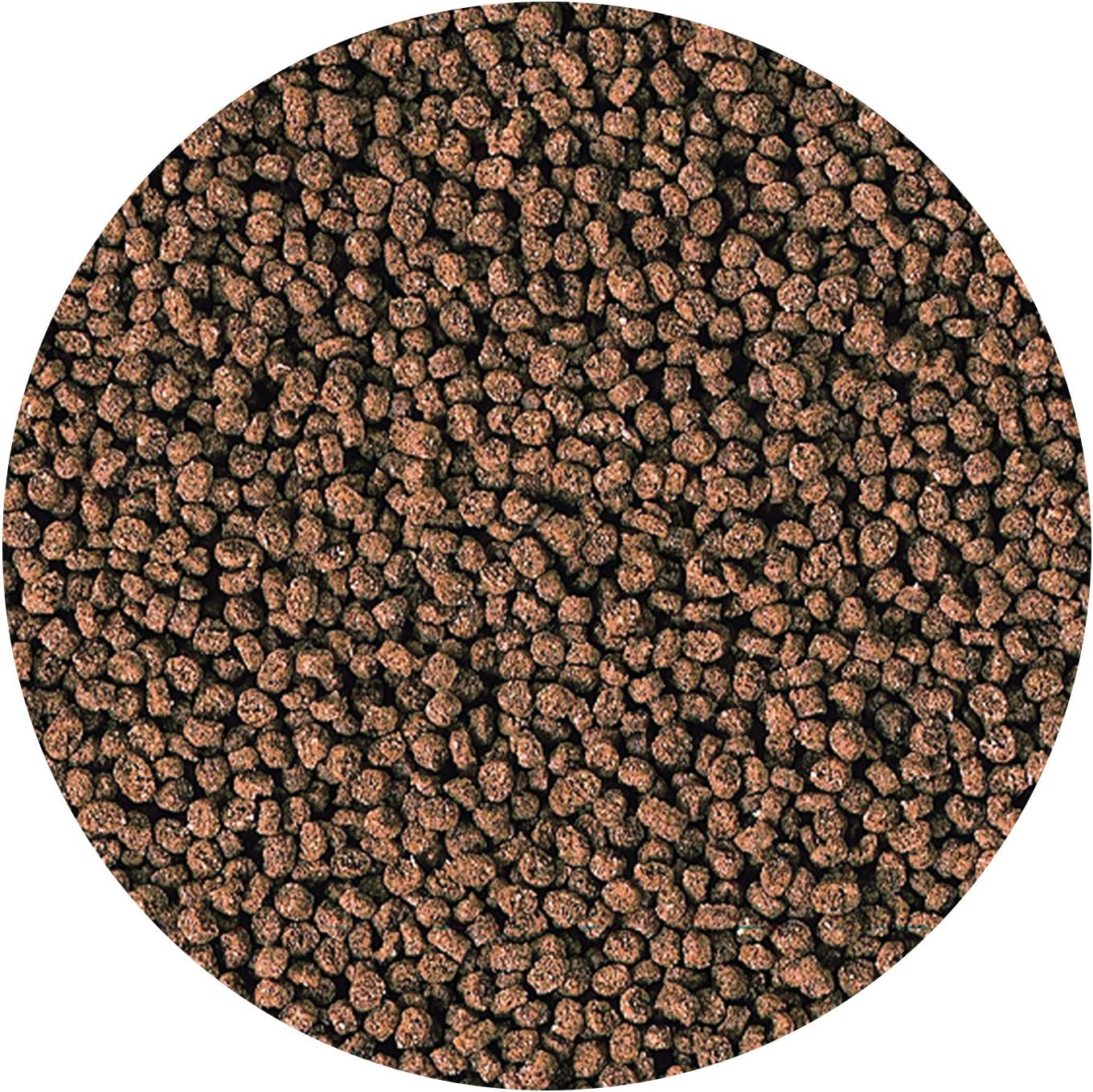 nutritious-hikari-marine-s-pellets-for-small-marine-fish---high-quality-fish-food-for-healthy-growth-and-development-4