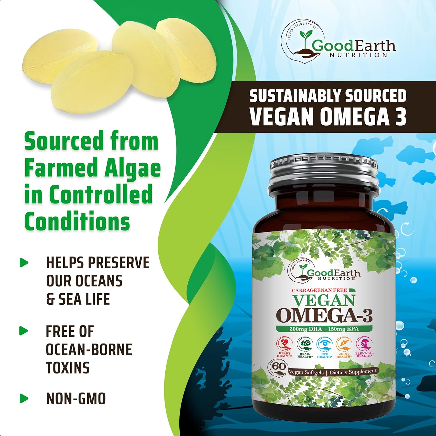 plant-based-algal-dhaepa-omega-3-softgels---carrageenan-free-vegan-supplement-for-brain-heart-joints-prenatal-health---60-veggie-capsules-4