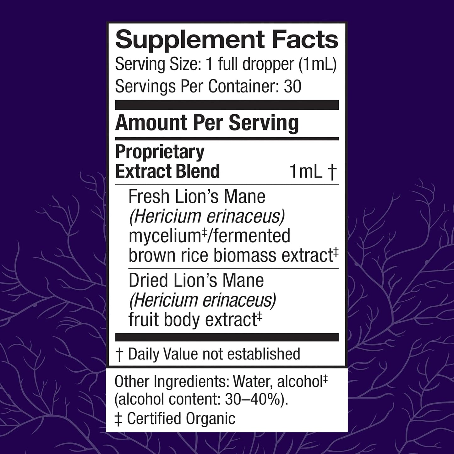 lions-mane-extract-liquid-drops---brain-health-memory-support---immune-nervous-system-booster---1-fl-oz-30-servings-2