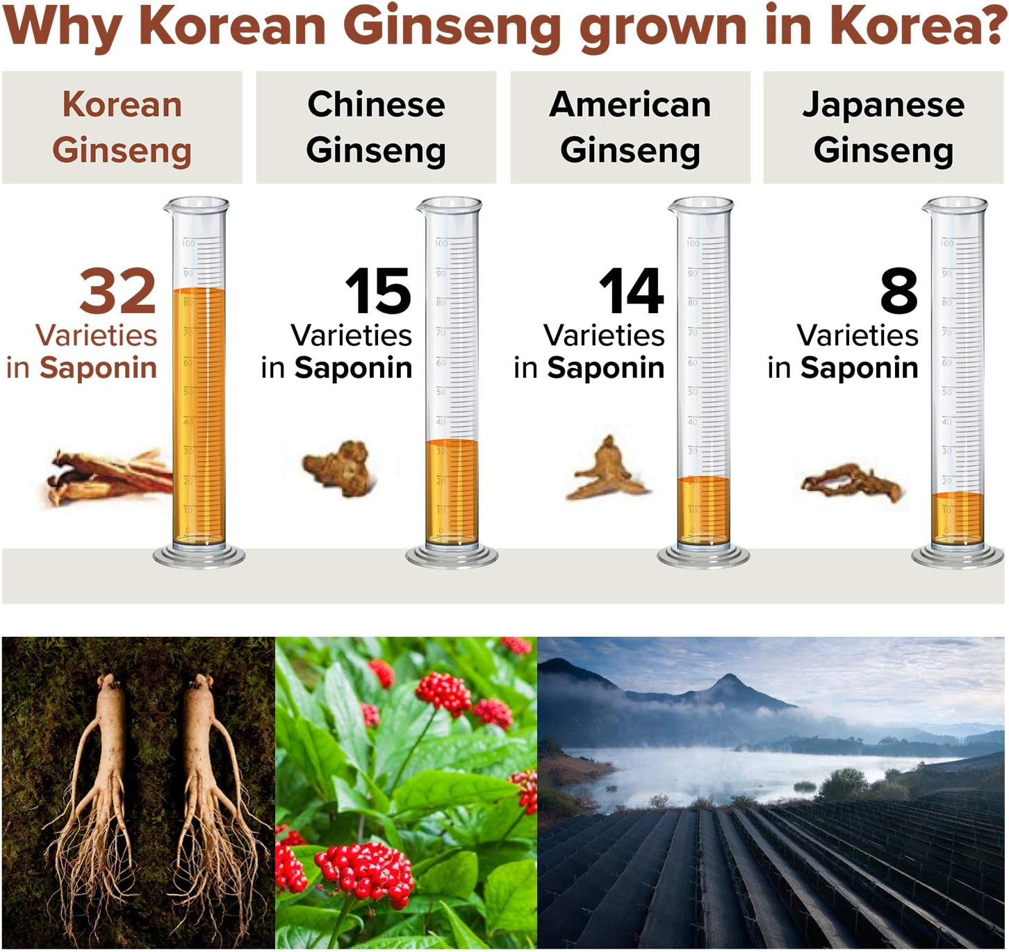 korean-red-ginseng-extract-3000mg-with-saponin-hanppuri-immune-booster-and-brain-enhancement-supplement-30-packets-6